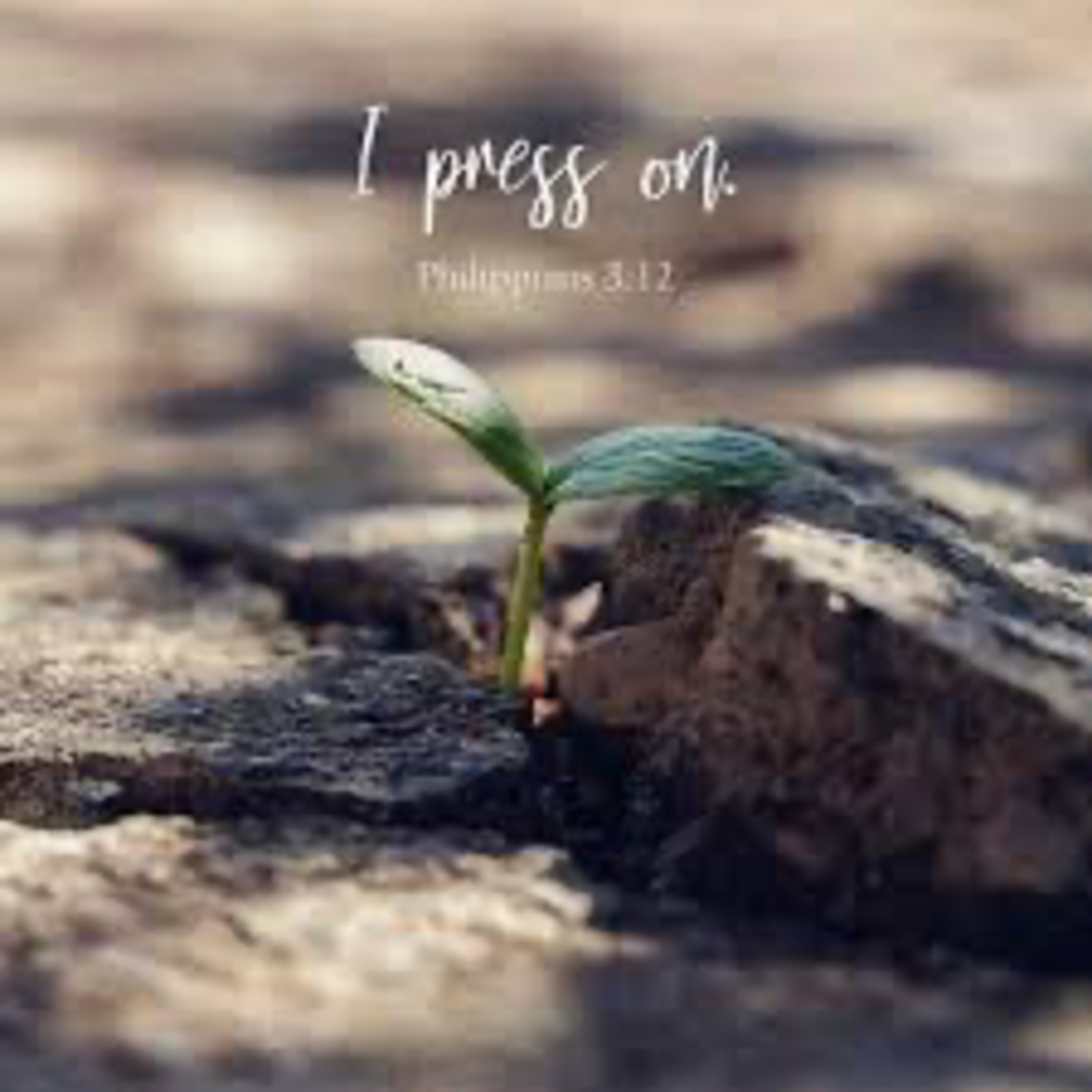 Press on - Ryan TerMorsthuizen - 11th January 2026