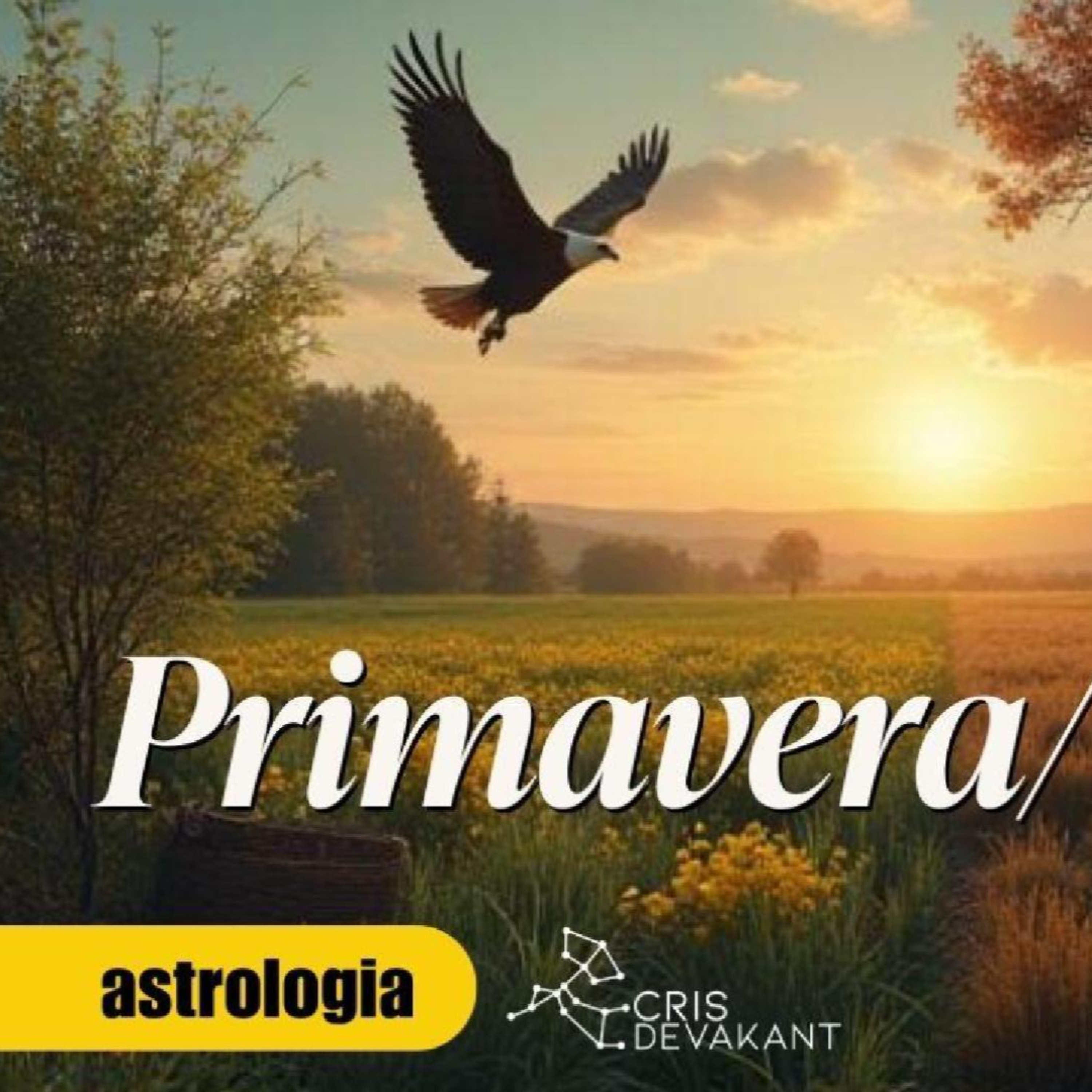 Ostara e Mabon: duas estações, dois movimentos da Roda do Ano