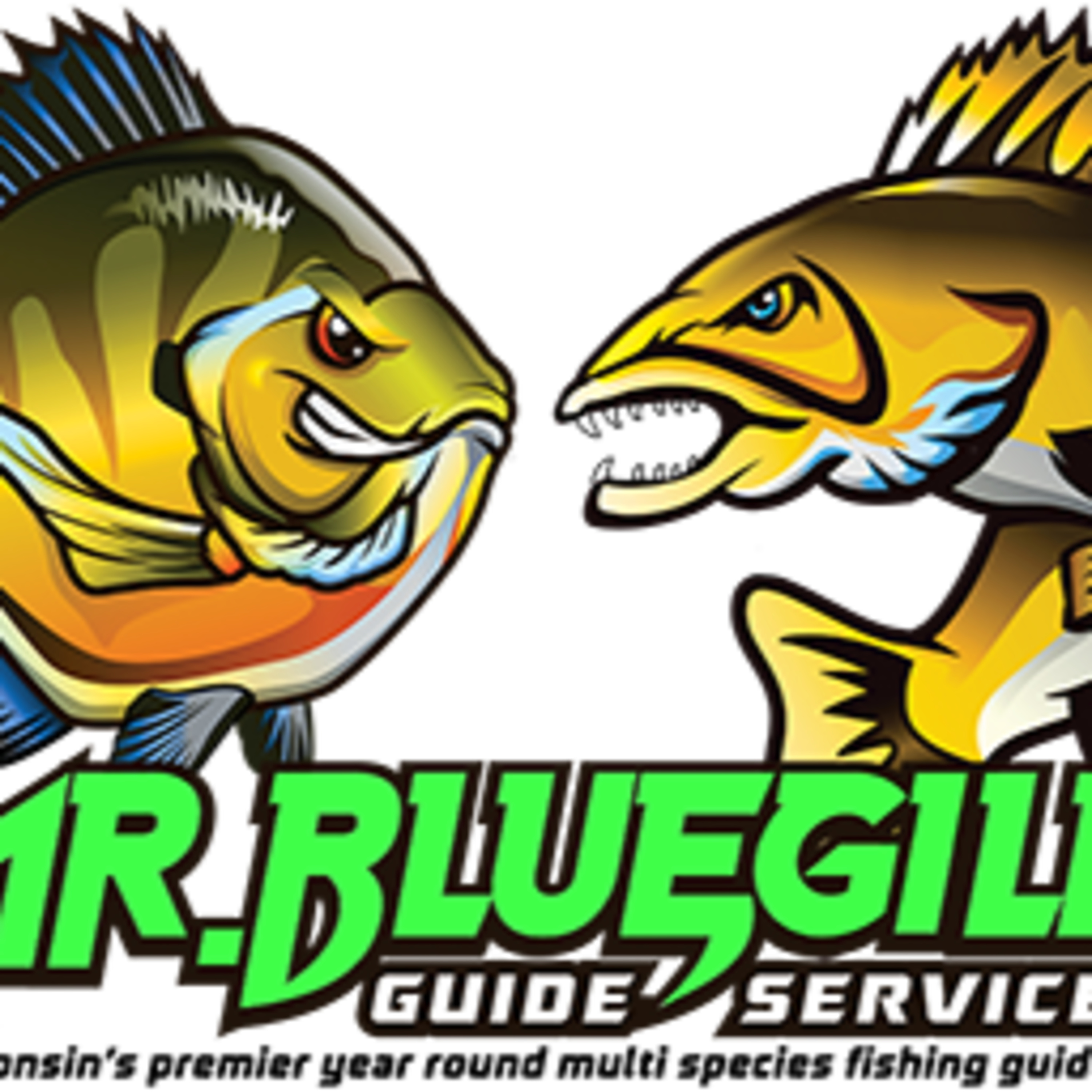 The Night Bite with Mr. Bluegill