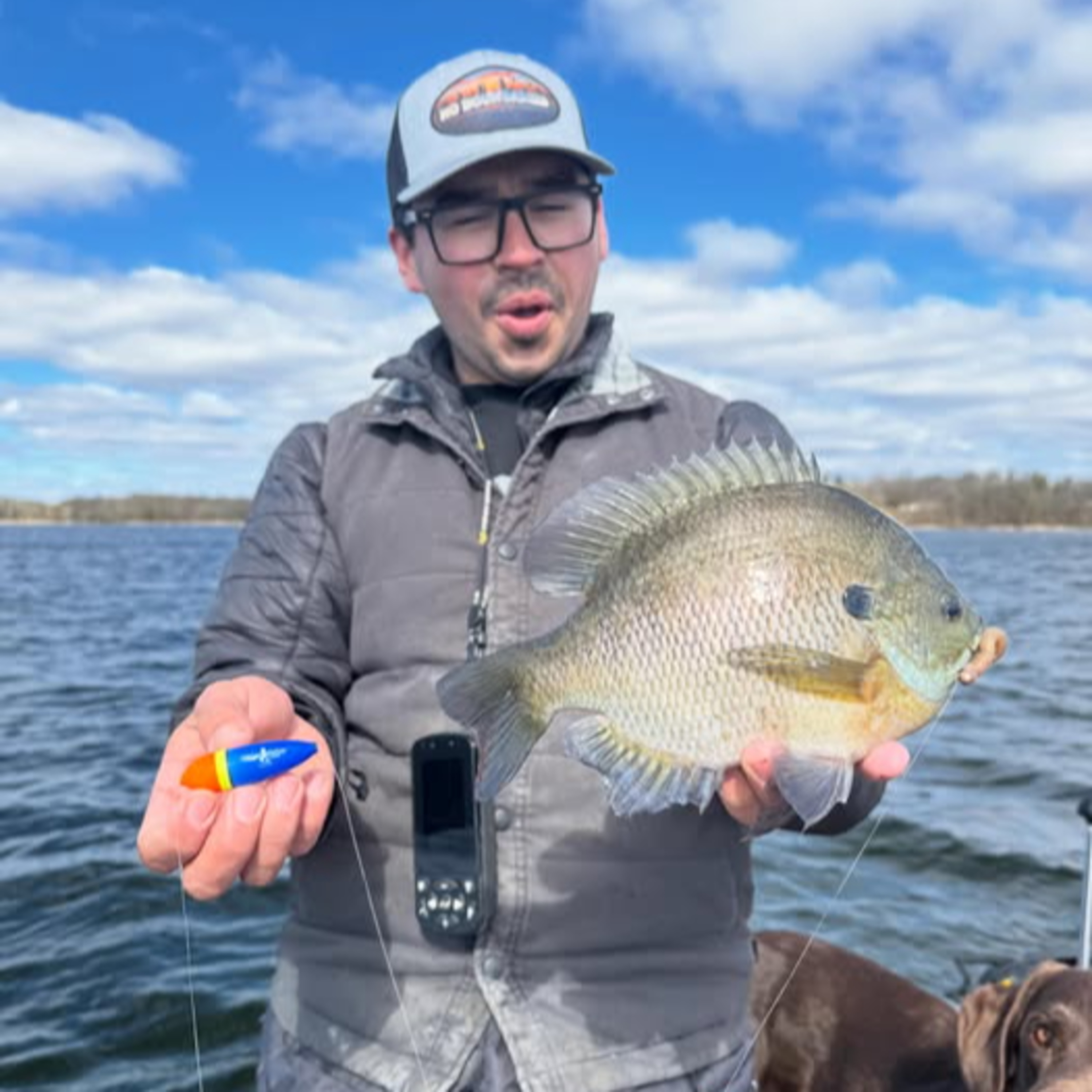 The Night Bite with John Seelye