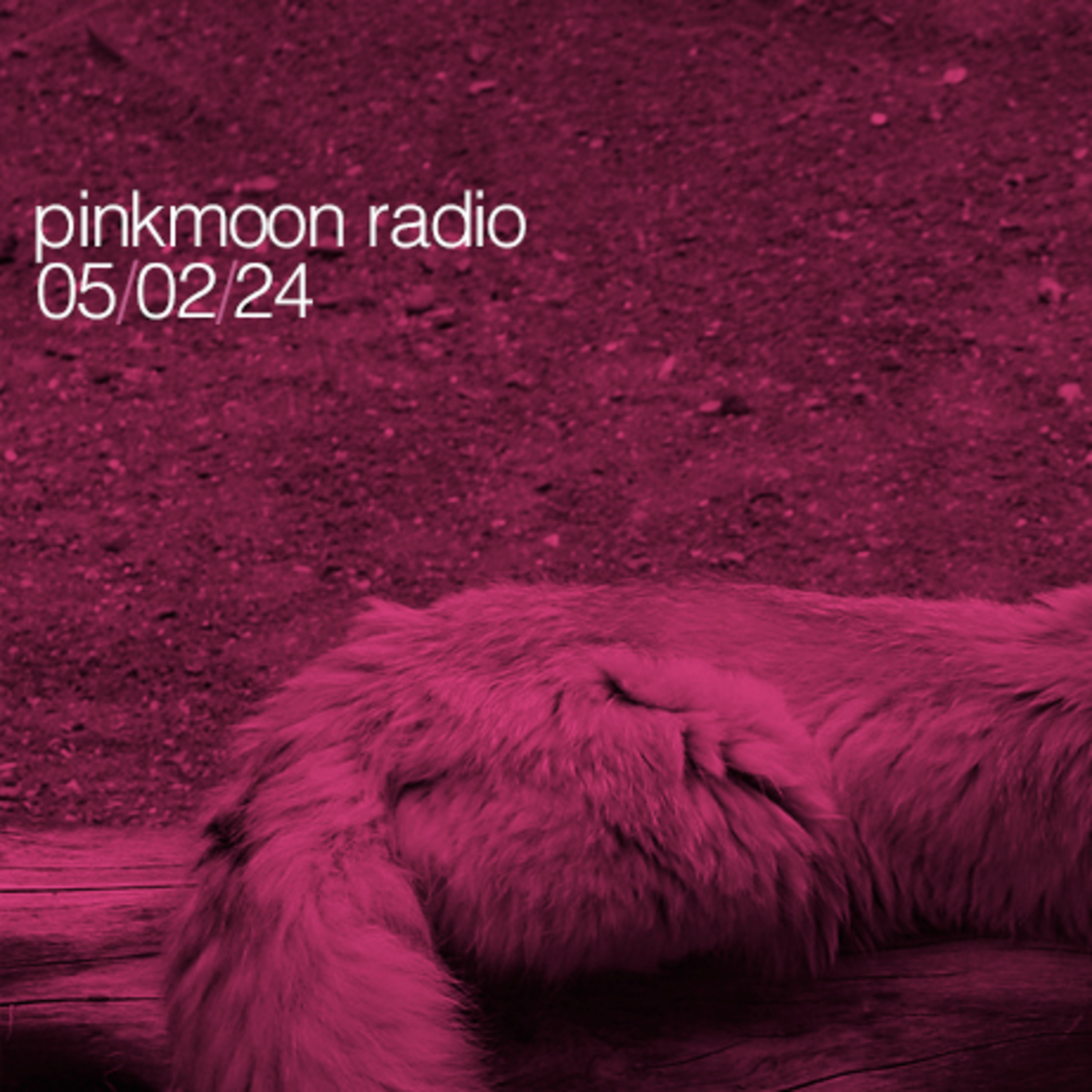 PinkMoon Radio