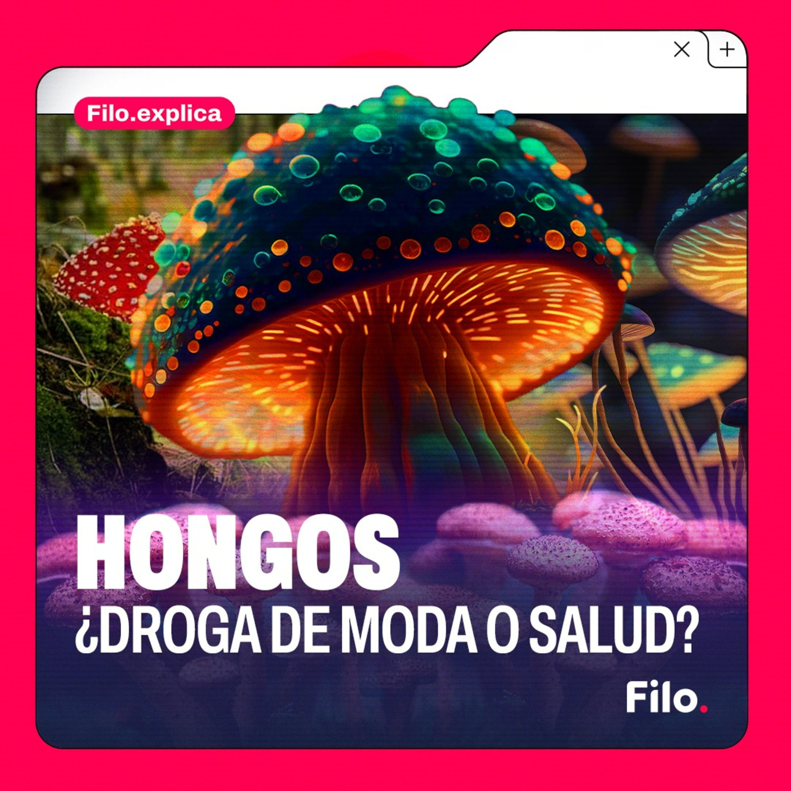 MICRODOSIS DE HONGOS: ¿MODA O SALUD? | Filo.Explica