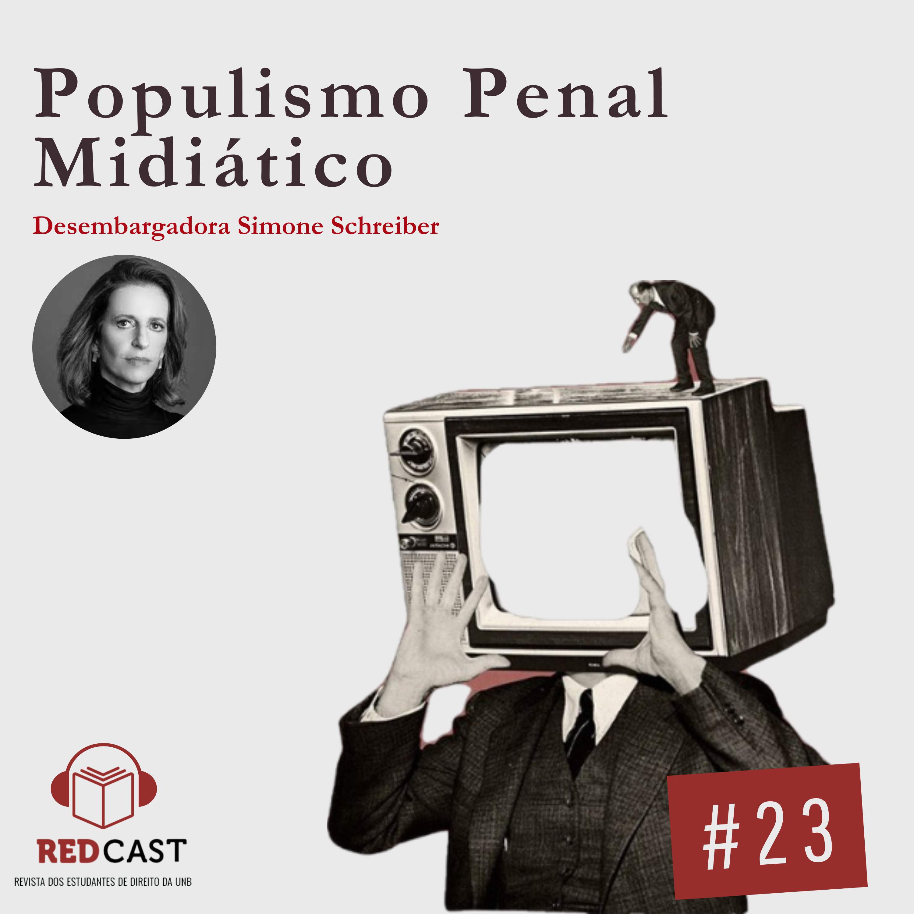 #23- Populismo Penal Midiático- Desembargadora Simone Schreiber episode artwork