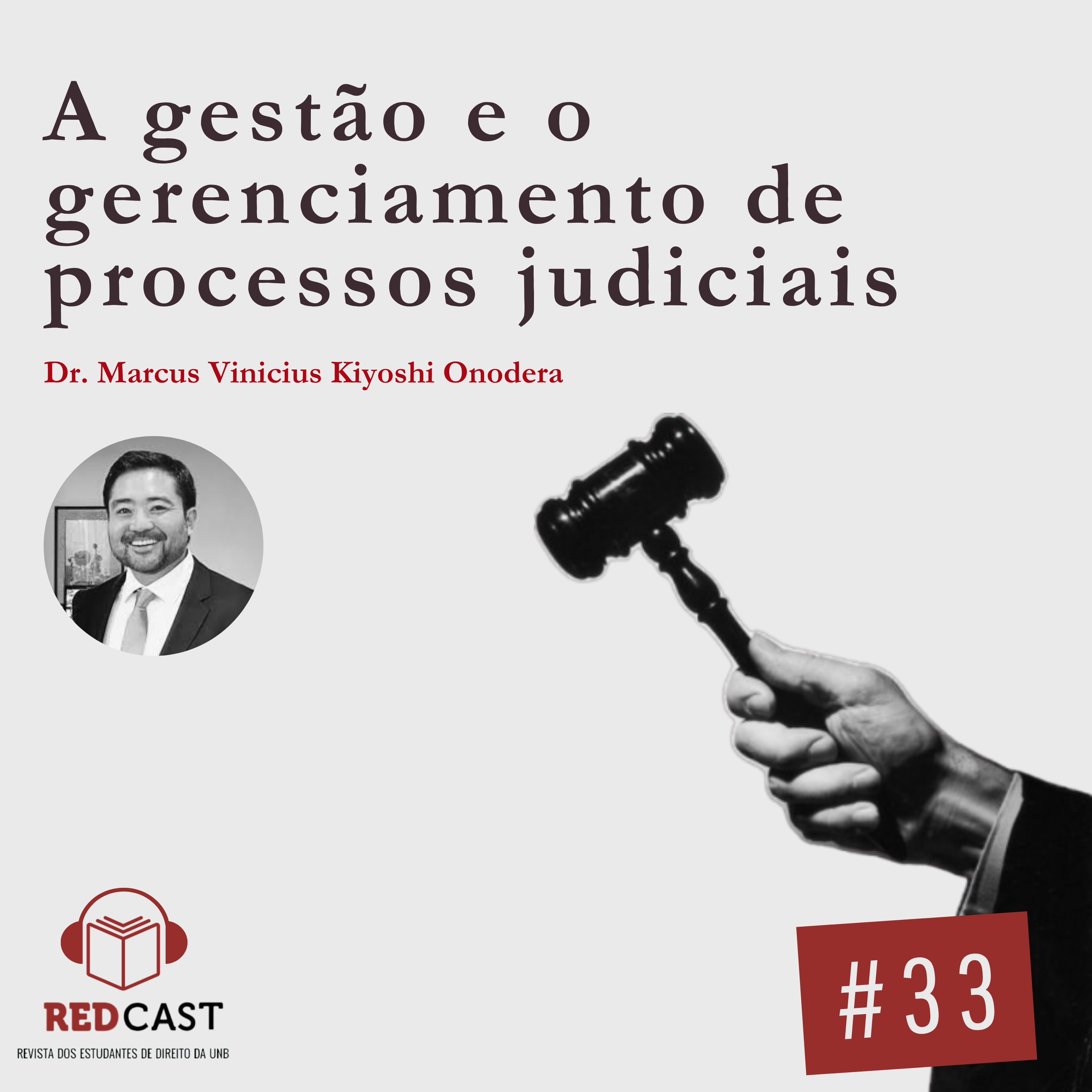 #33 - A gestão e o gerenciamento de processos judiciais episode artwork