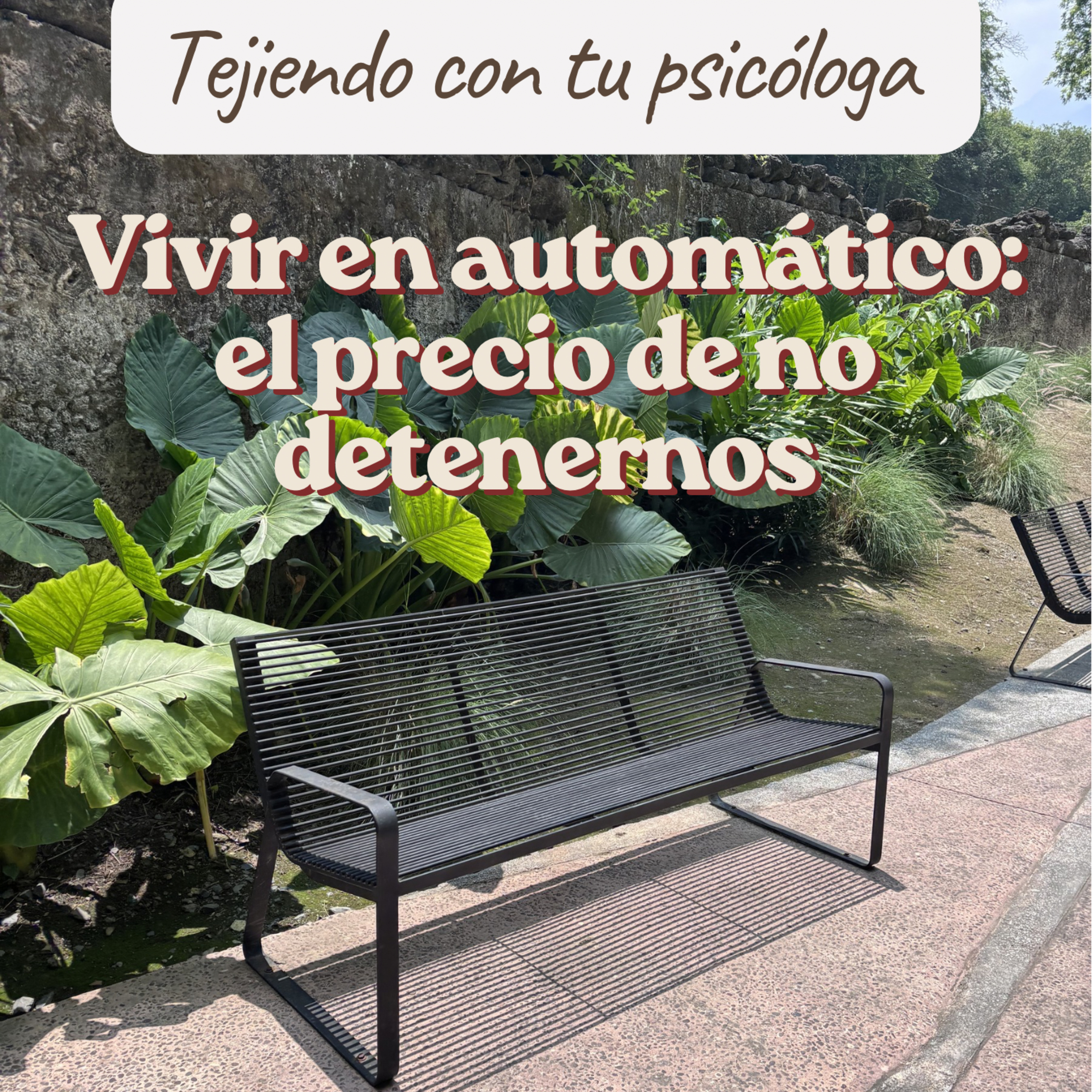 Portada de Mentes de estambre