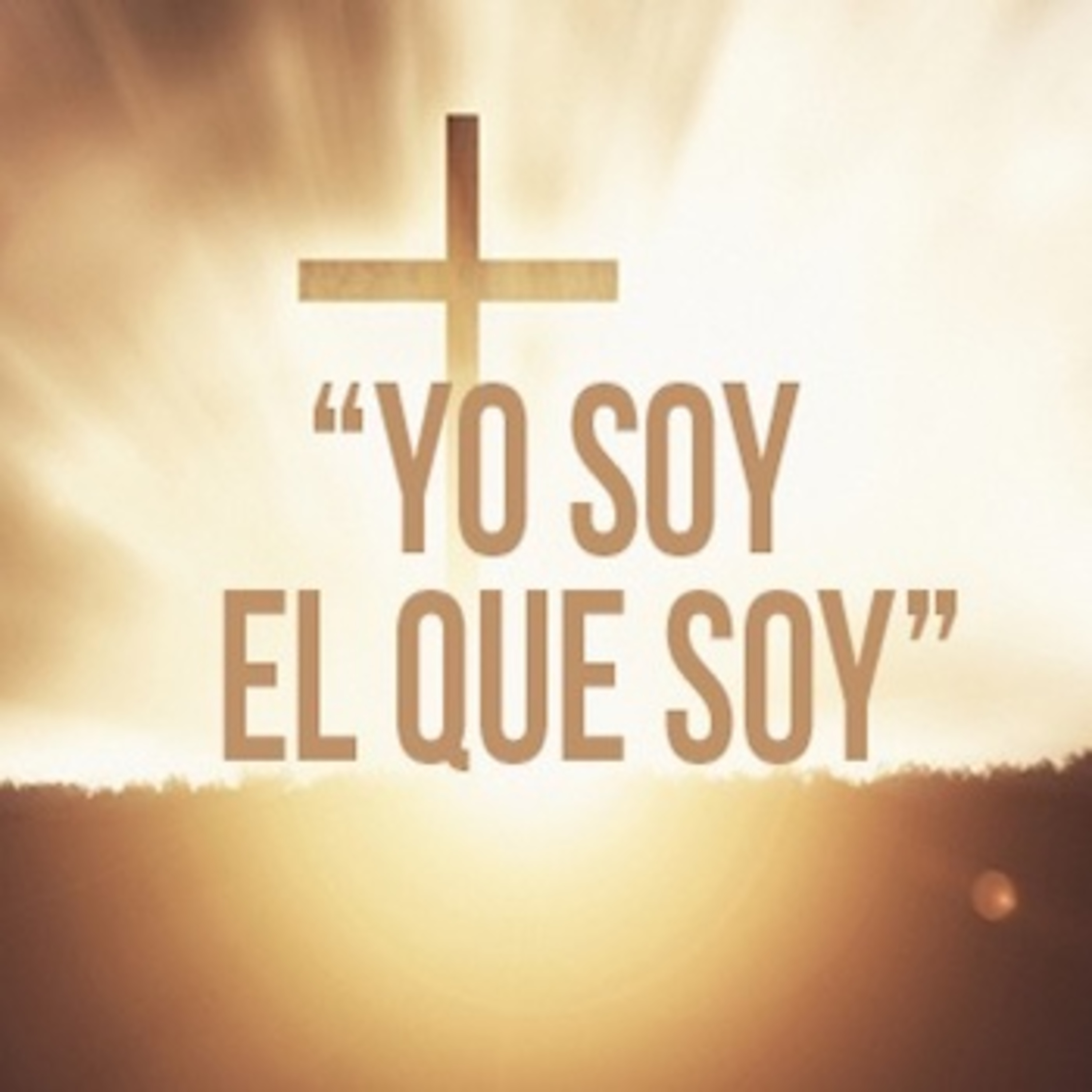 Impacto para la vida