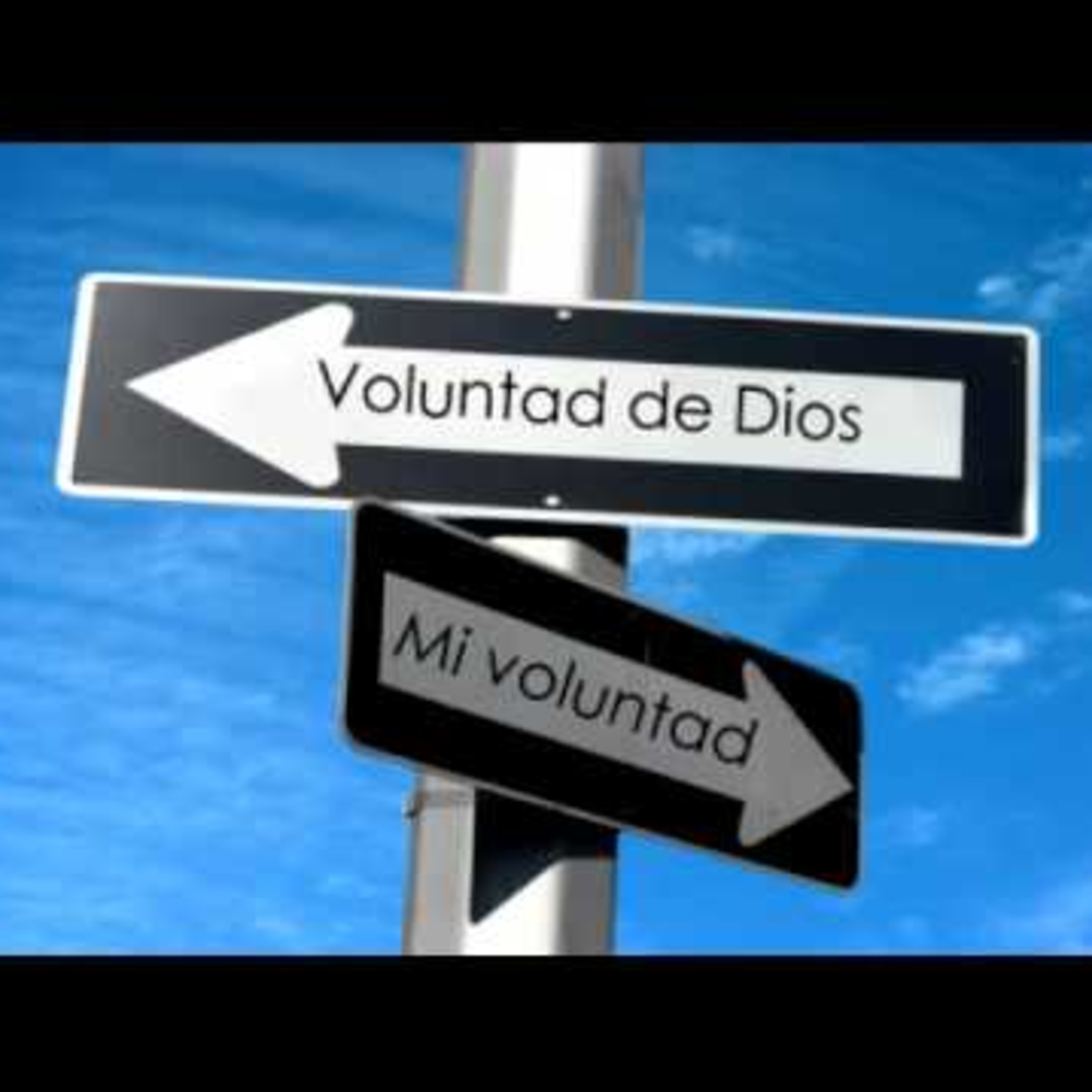 Impacto para la vida