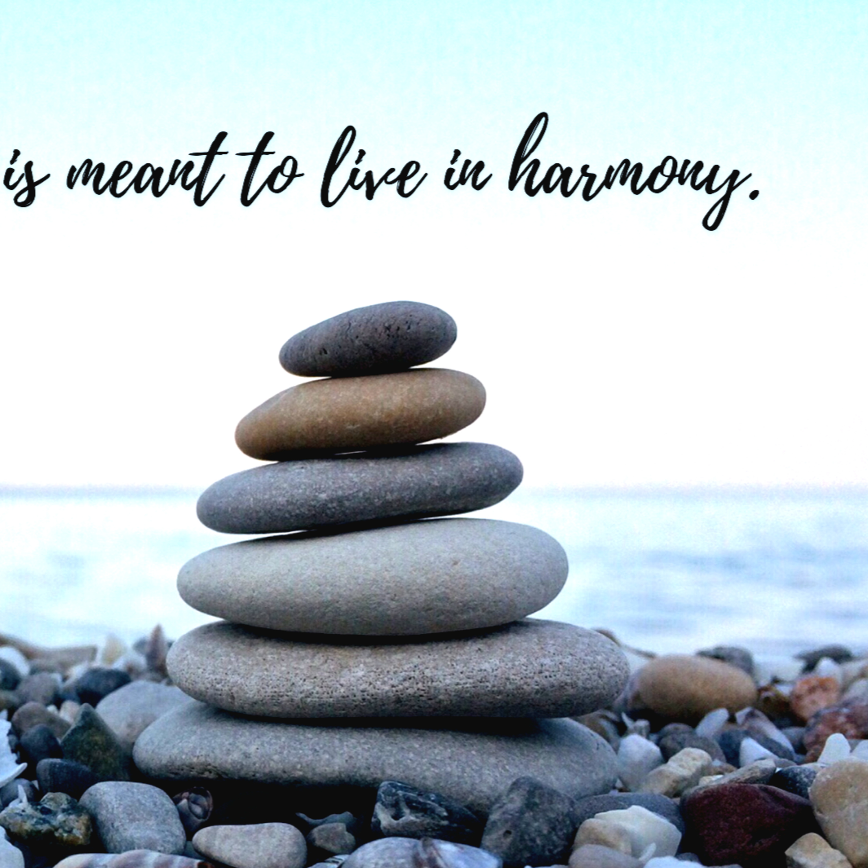 P.1 Living In Harmony With Christ