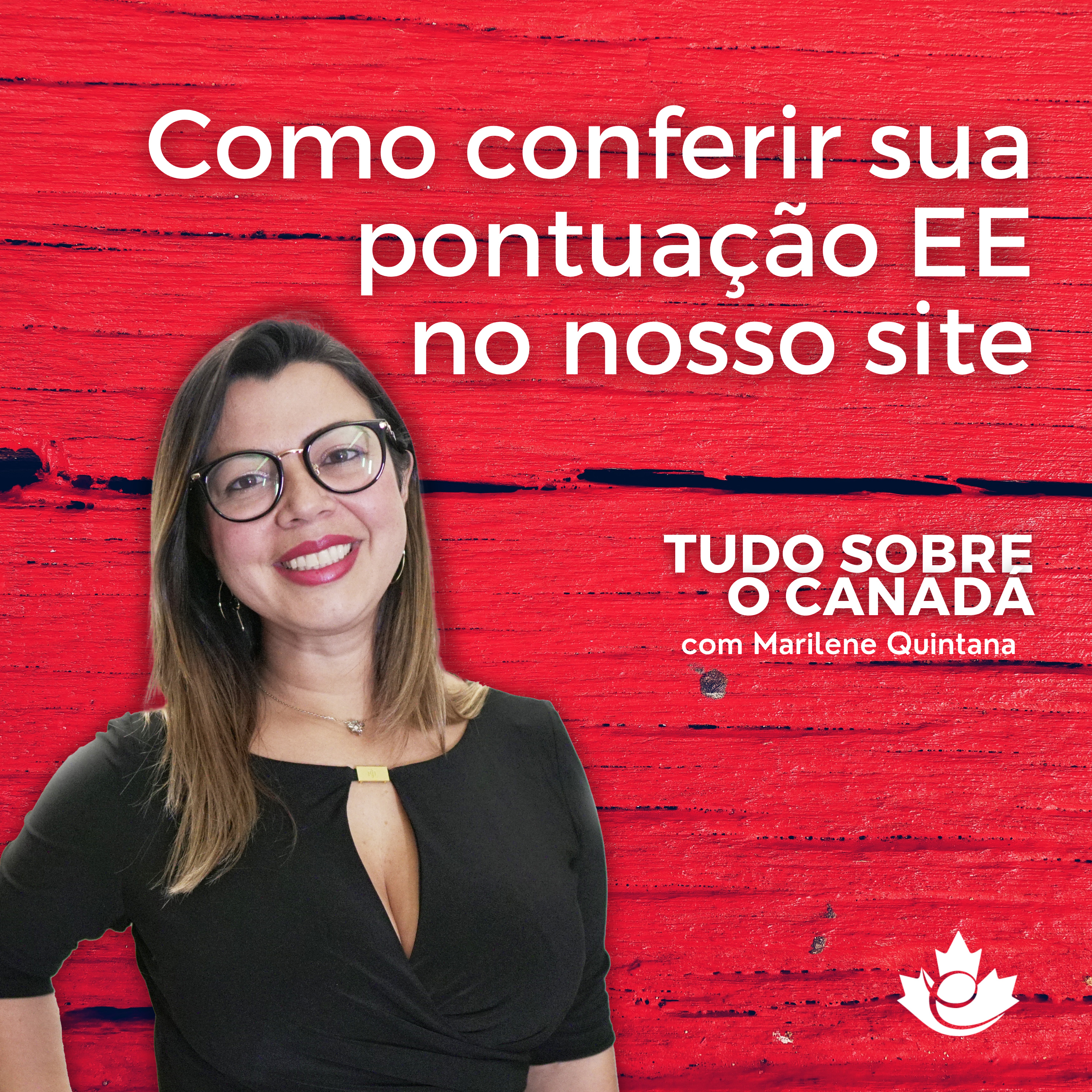 S3:E14 Como conferir sua pontuação Express Entry no nosso site episode artwork