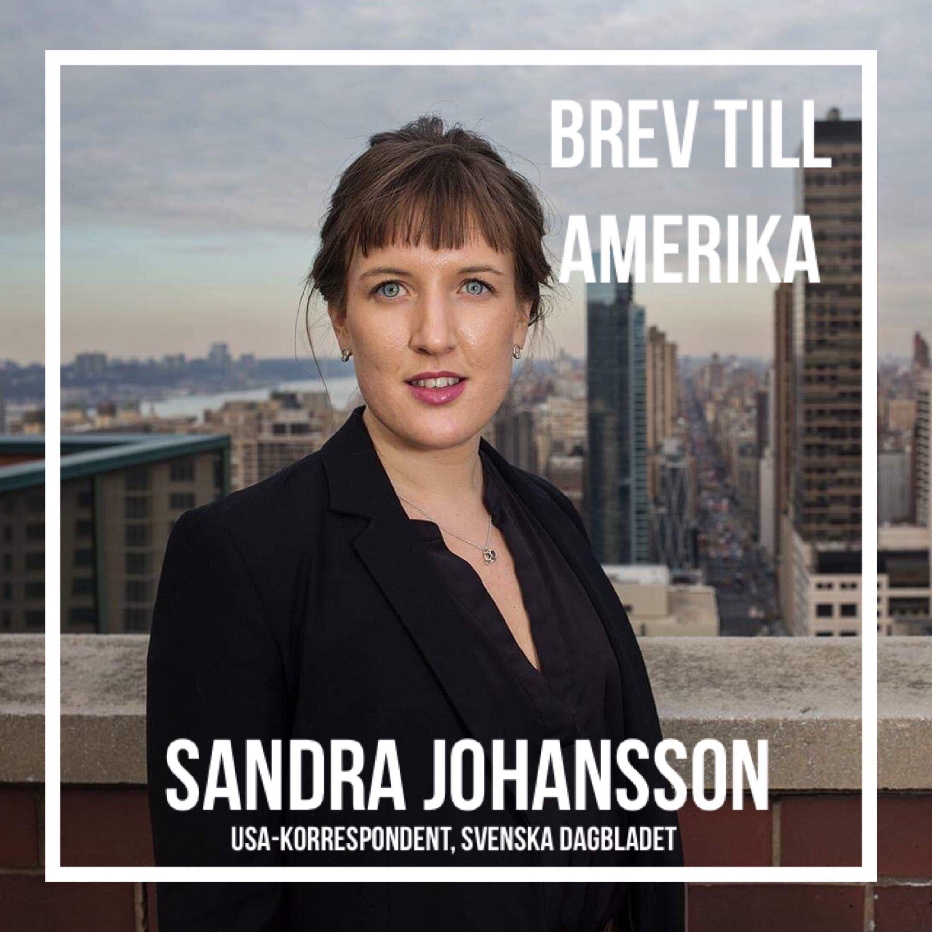 Brev till Amerika