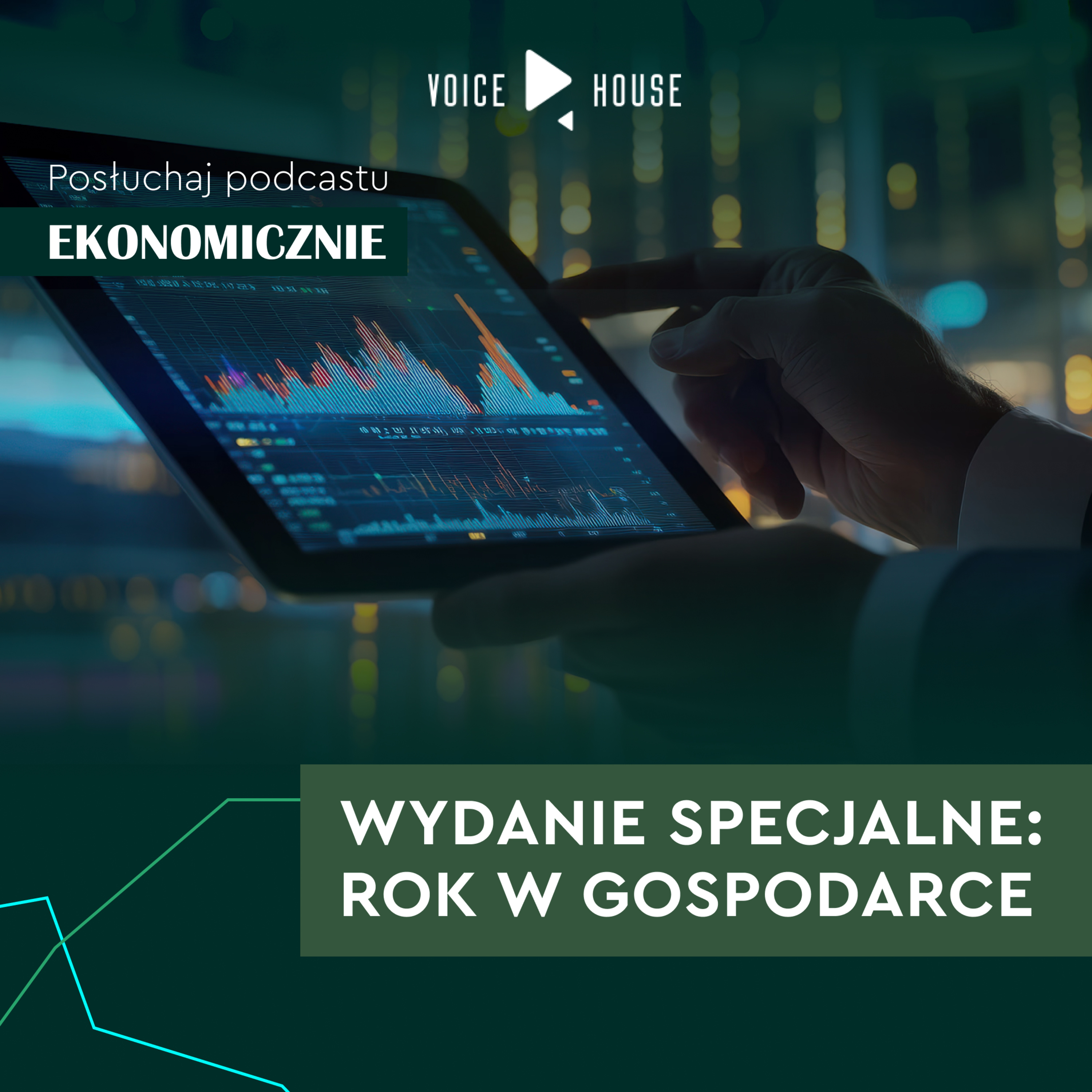 Wydanie specjalne: Rok w gospodarce episode artwork