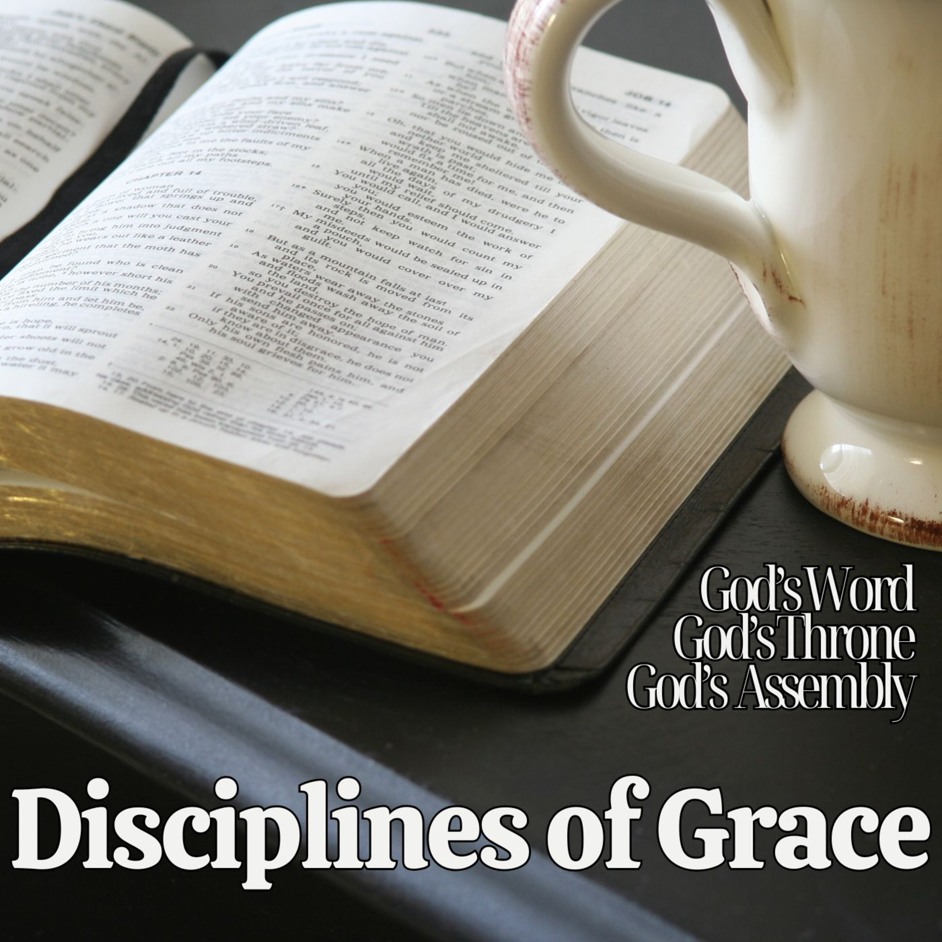 God’s Sanctifying Work through His Son (Hebrews 13:20-21) episode artwork