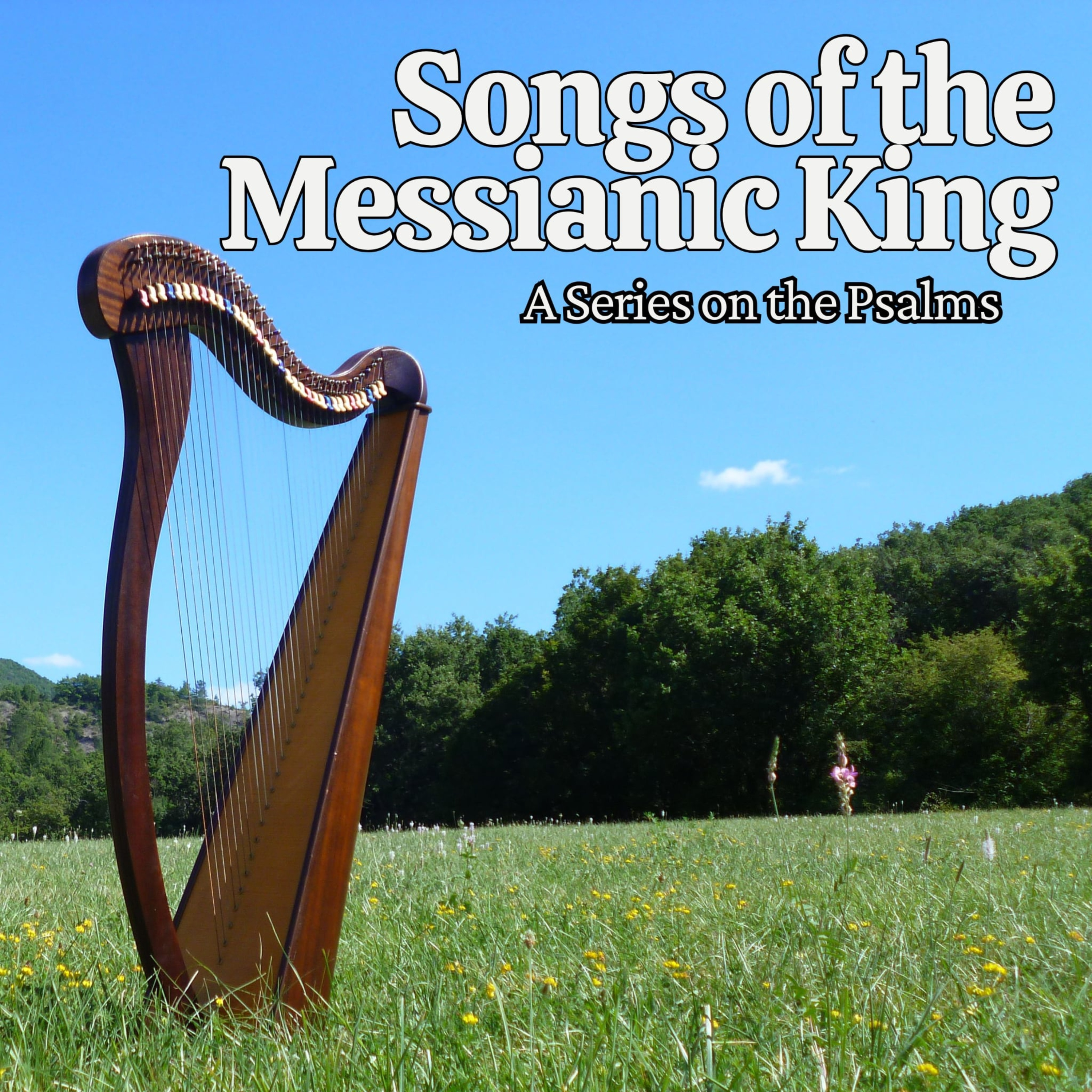 A Song of the King's Pardon (Psalm 51) episode artwork
