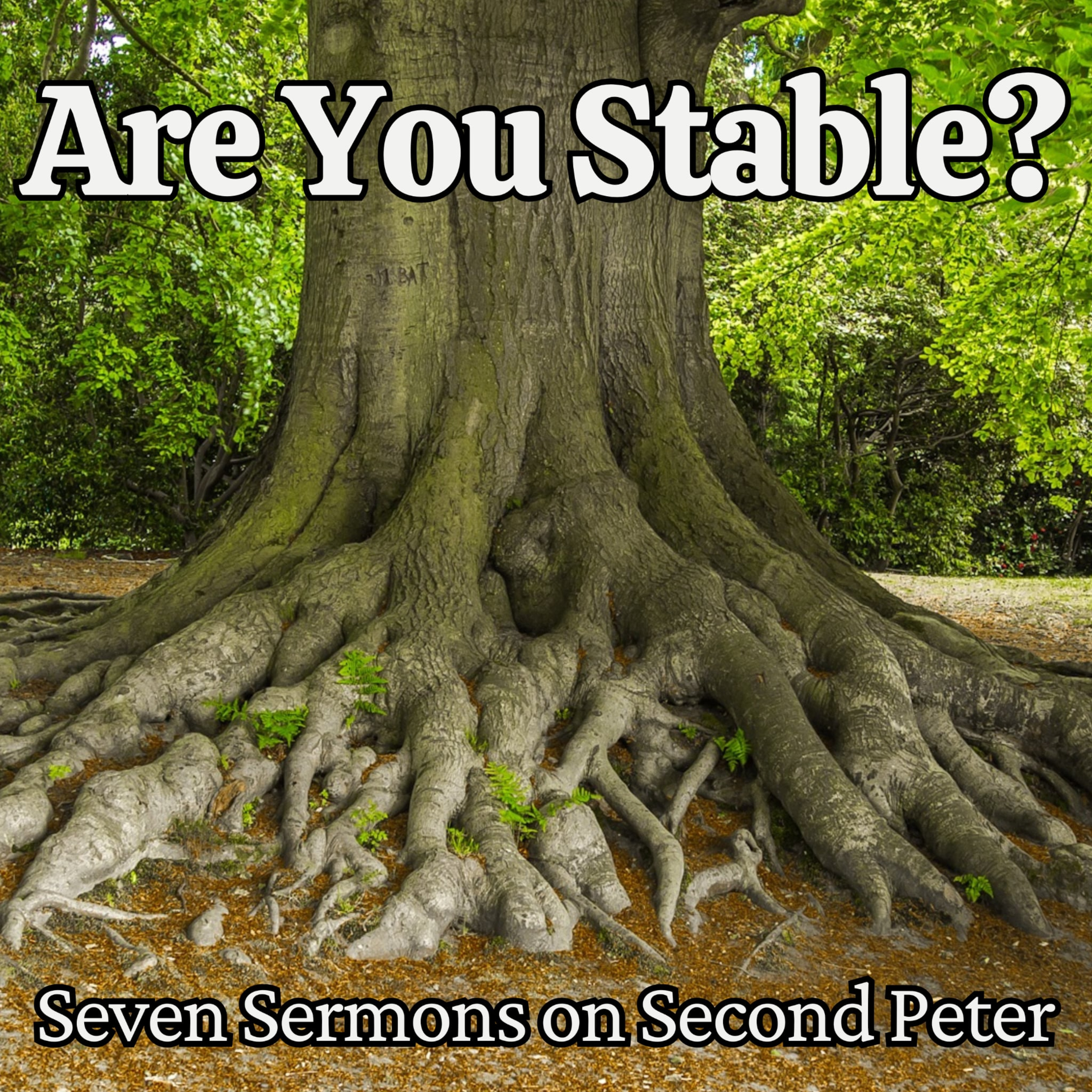 Established by a Promised Return (2 Peter 3:11-18) episode artwork