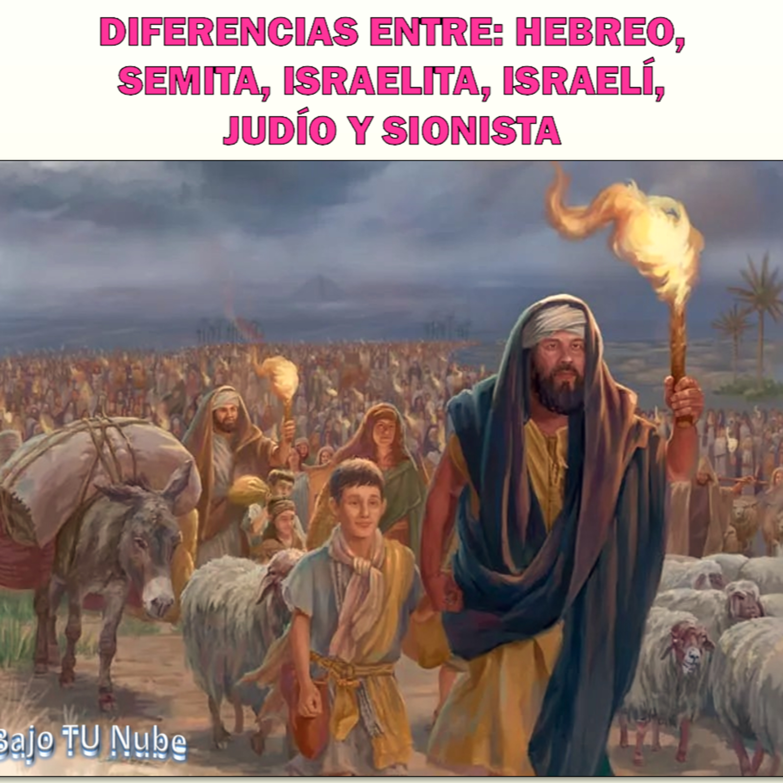 DIFERENCIAS ENTRE: HEBREO, SEMITA, ISRAELITA, ISRAELÍ, JUDÍO Y SIONISTA ...