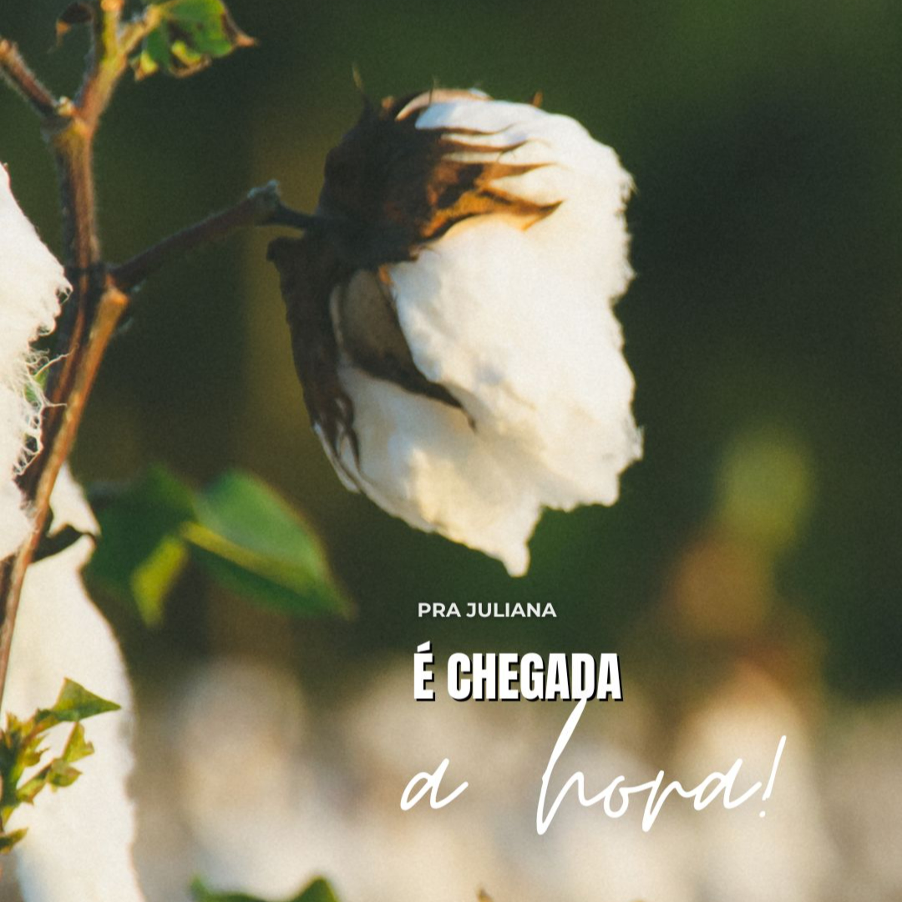 Pra. Juliana - É Chegada a Hora - 14-04-2024 episode artwork