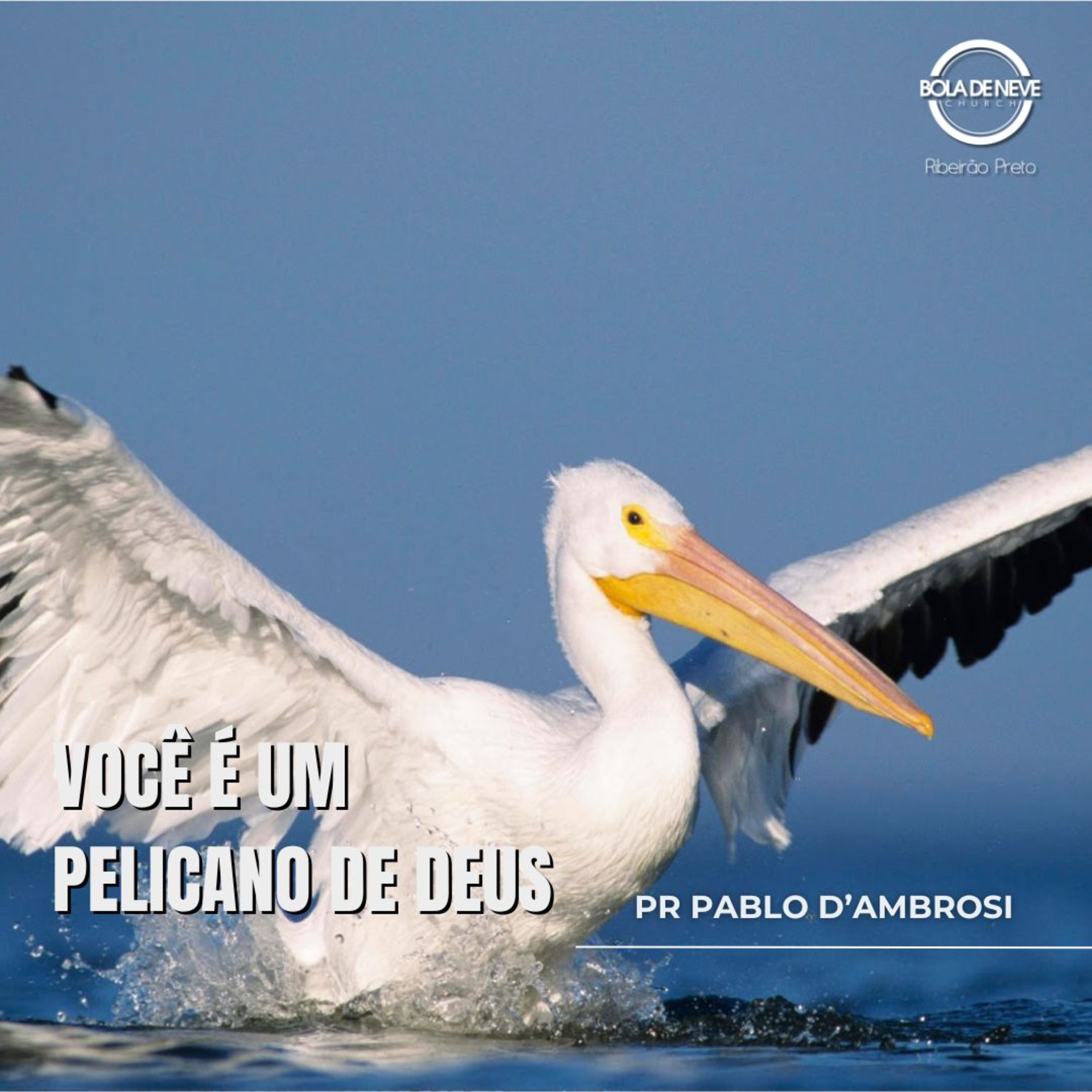 Pr Pablo D'Ambrosi - Você é um Pelicano de Deus - Culto de Ceia 30/06/2024 episode artwork