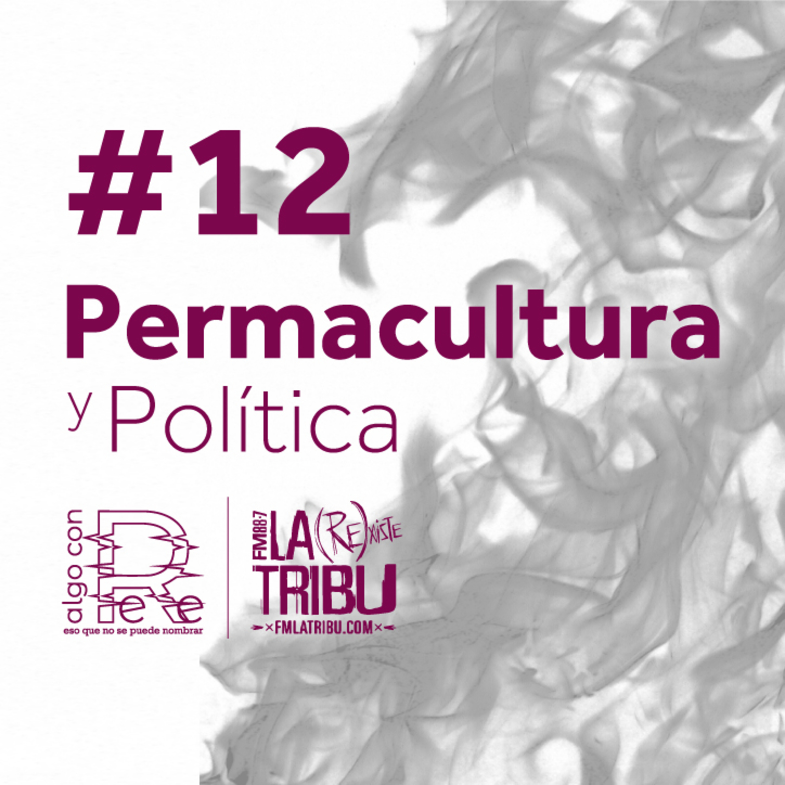 Permacultura y política #12: Diciembre para siempre. Conversaciones con Luciano Kordon episode artwork