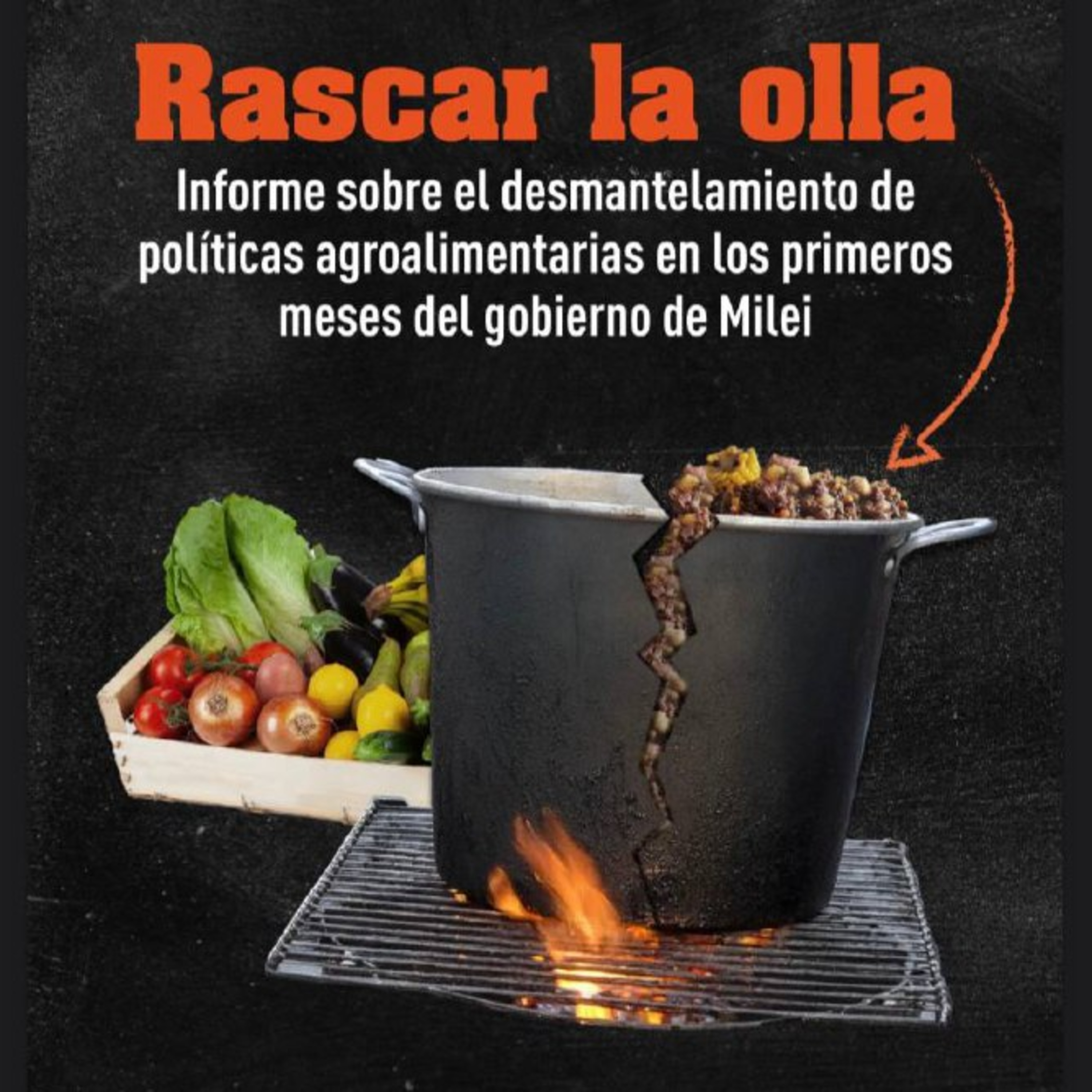 Informe sobre políticas alimentarias | Pato Lizarraga, Fundación Rosa Luxemburgo episode artwork