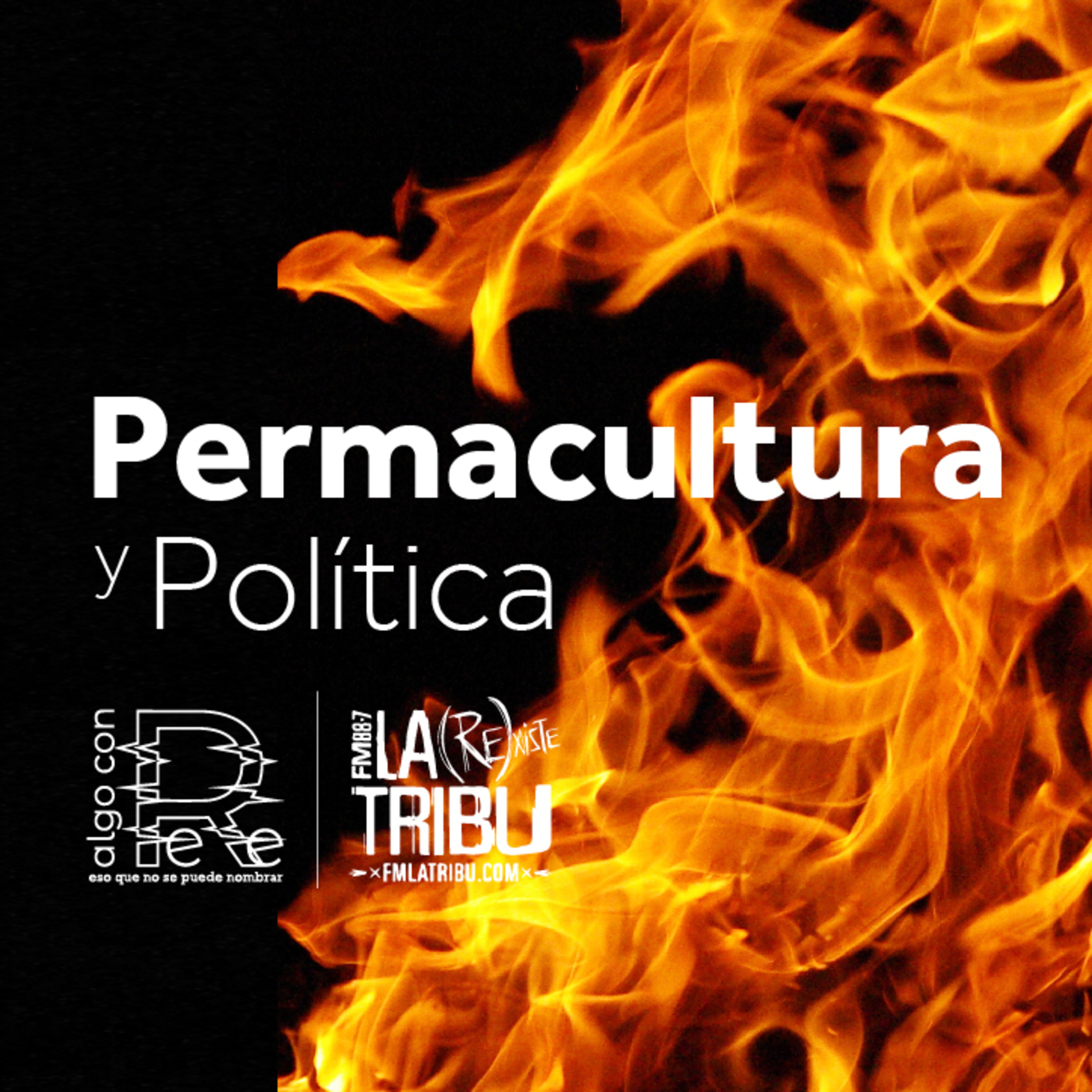 Luciano Kordon | Adaptación profunda: la precarización de todo, 1ra parte episode artwork