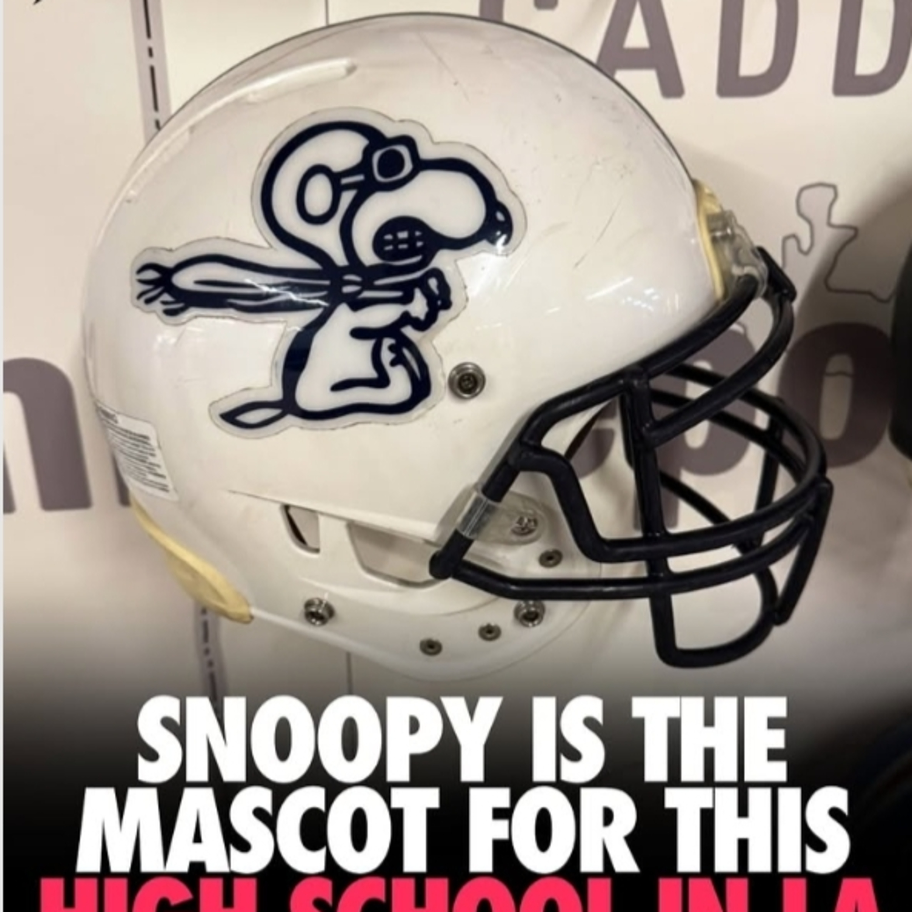 Innovaciones en la NFL, Snoopy como Mascota, Packers y el Número 27 episode artwork