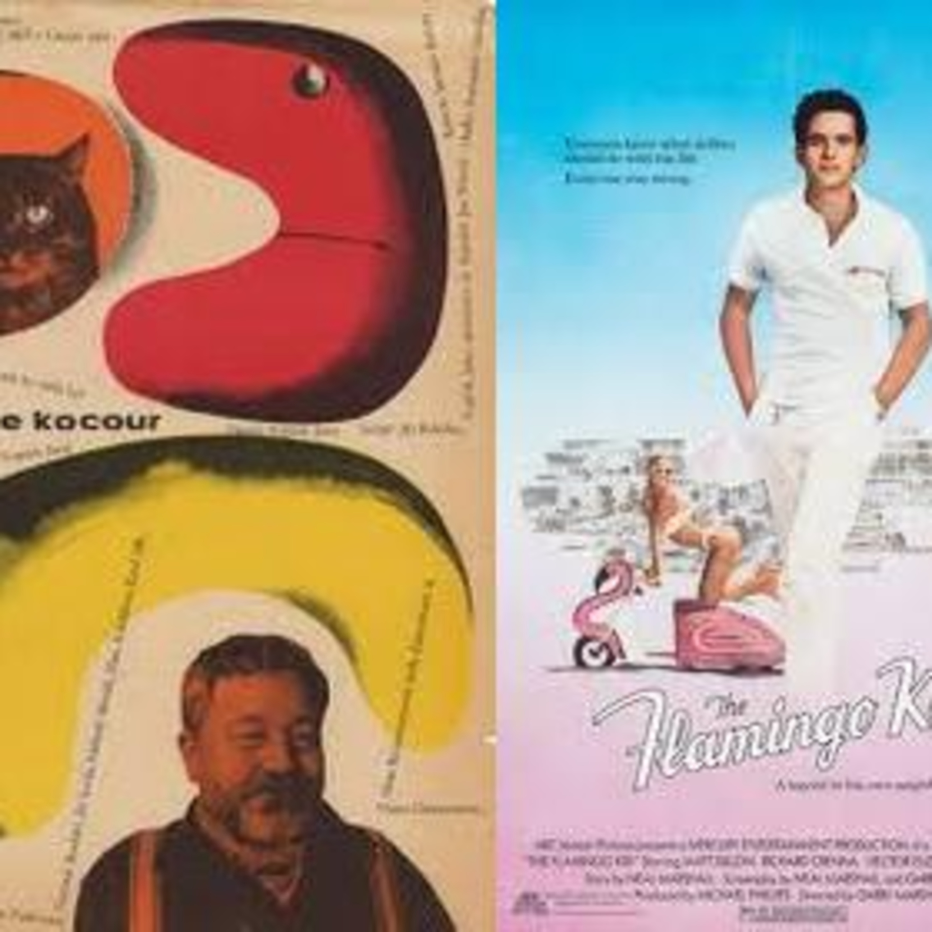 Episode #763: Flamingos and Cats