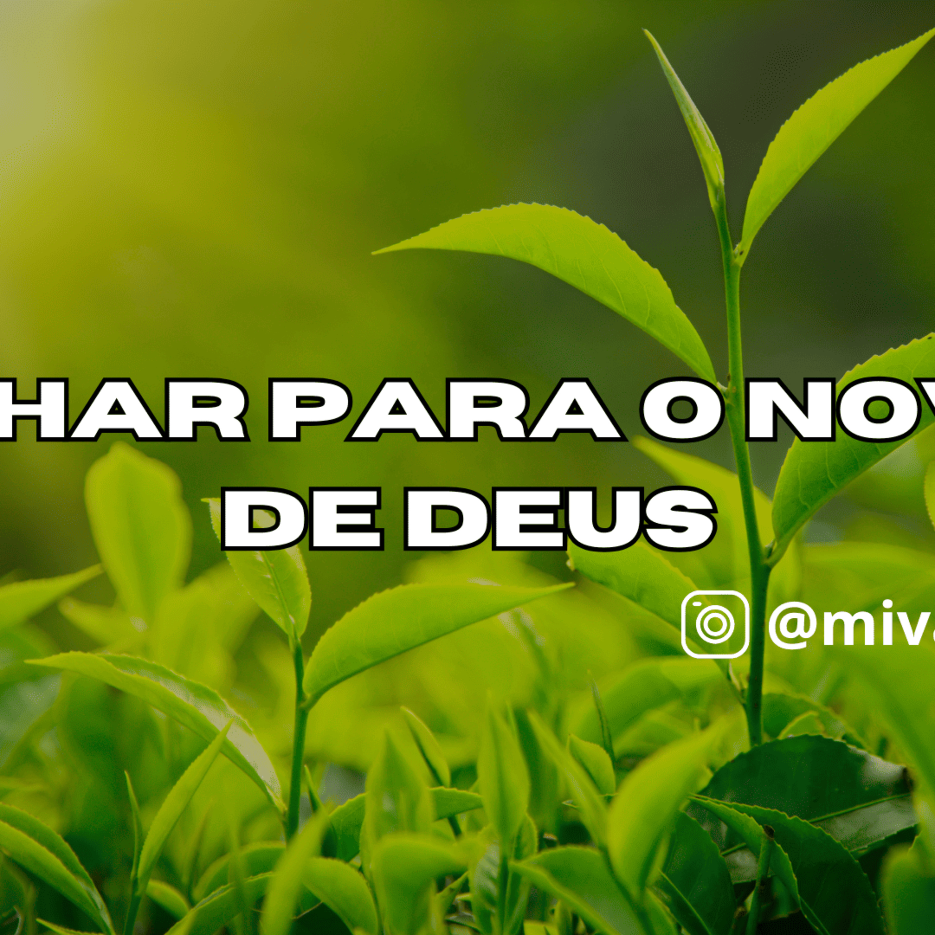 IGREJA CORAGEM