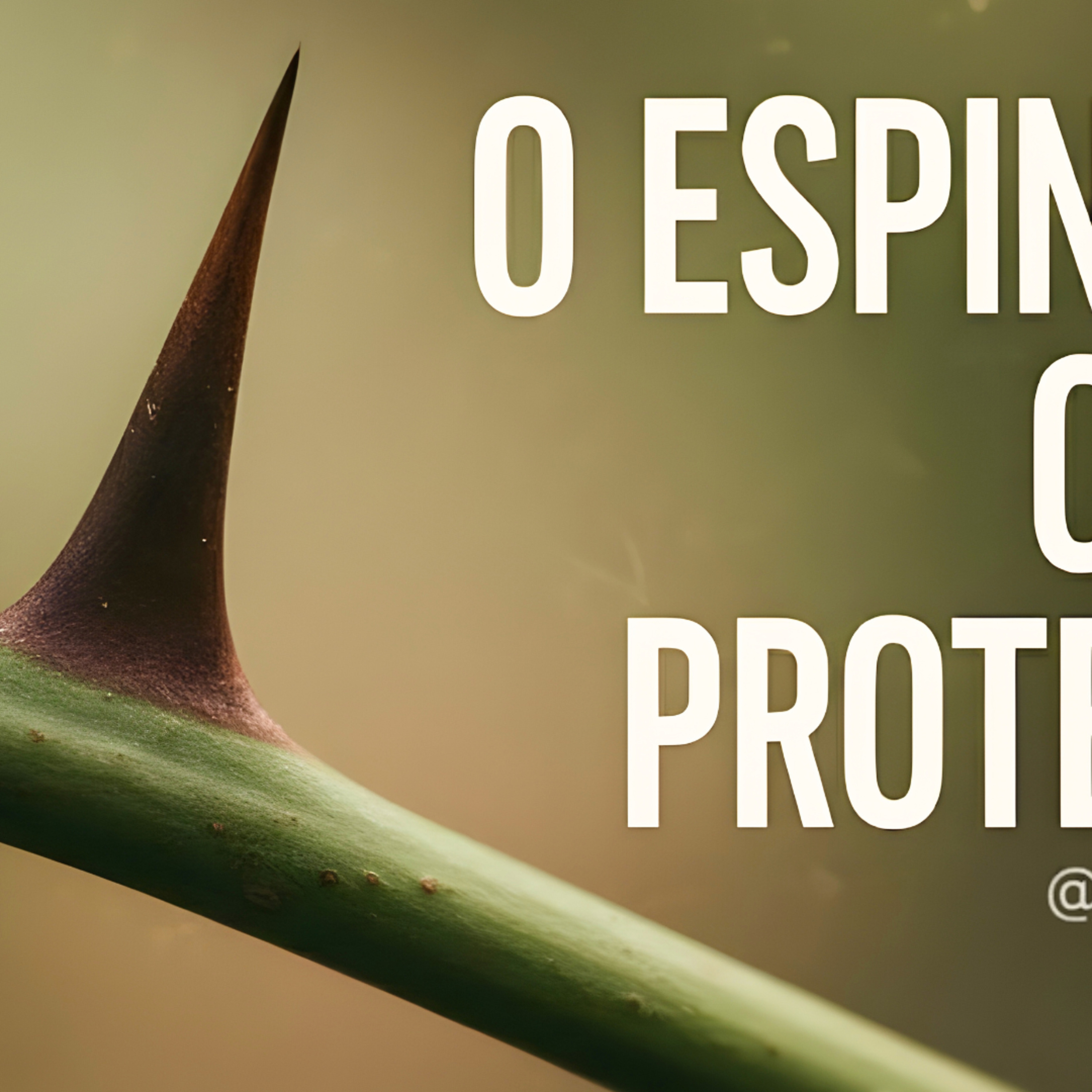 CULTO DOMINGO NOITE - O ESPINHO QUE PROTEGE - 09/11/25 - PR. JEF. PHILLPP episode artwork