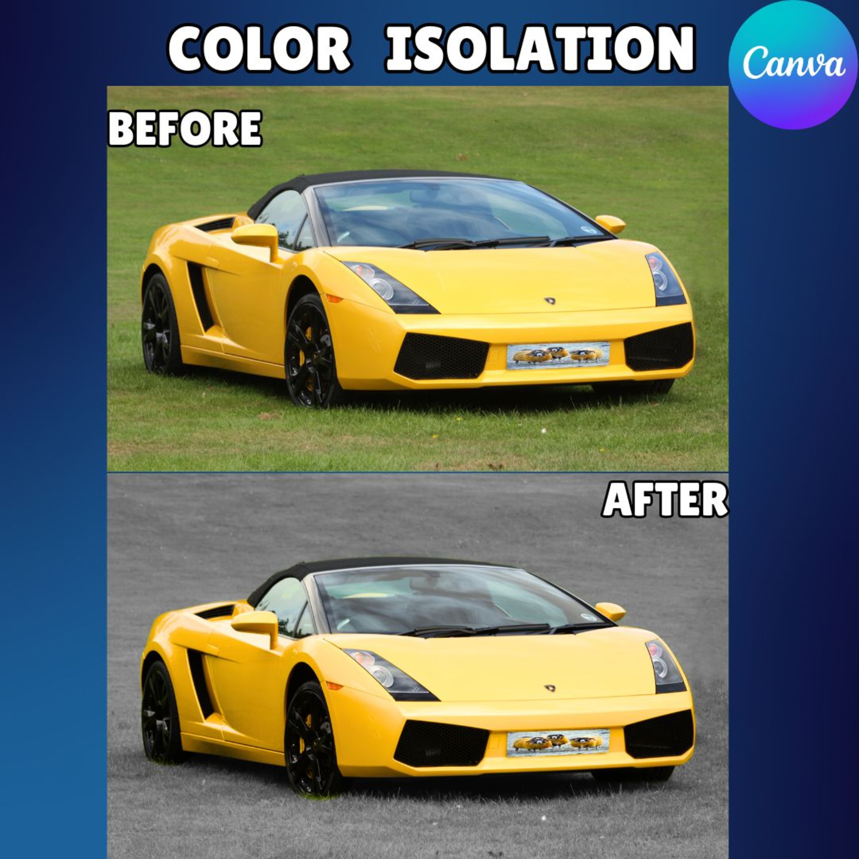 Color isolation effect in canva