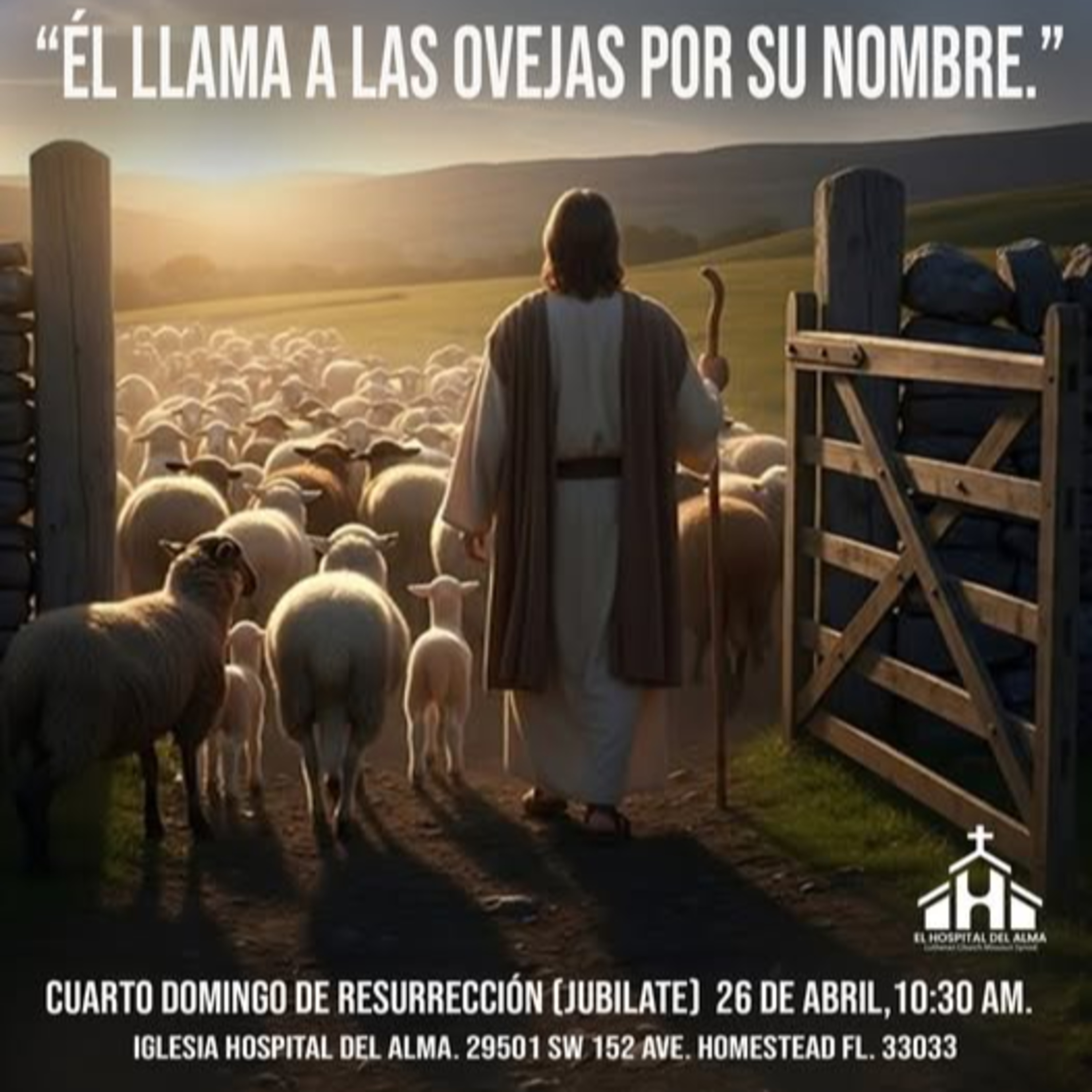 Guiados por el Buen Pastor episode artwork