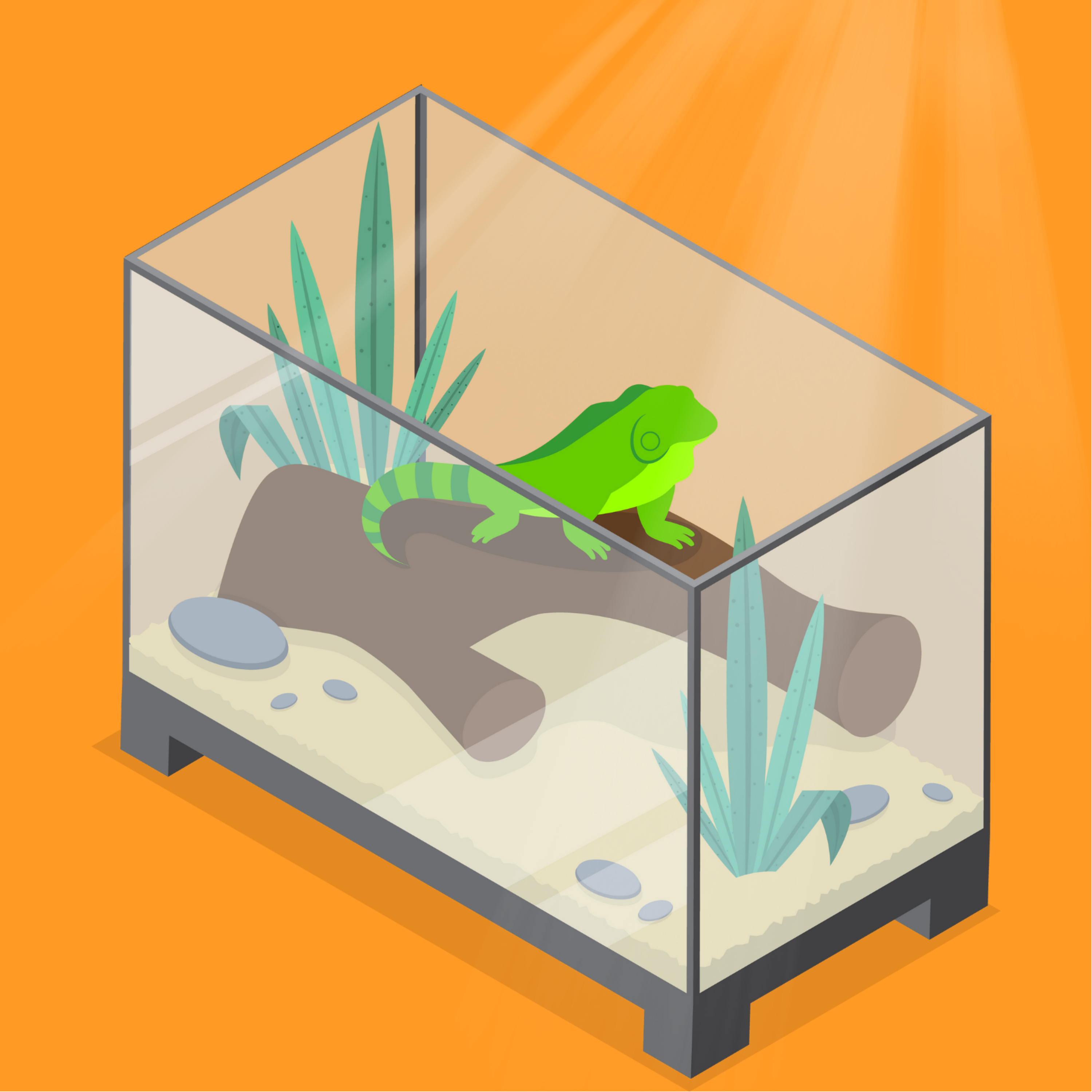 EP43 :: Teto para recintos