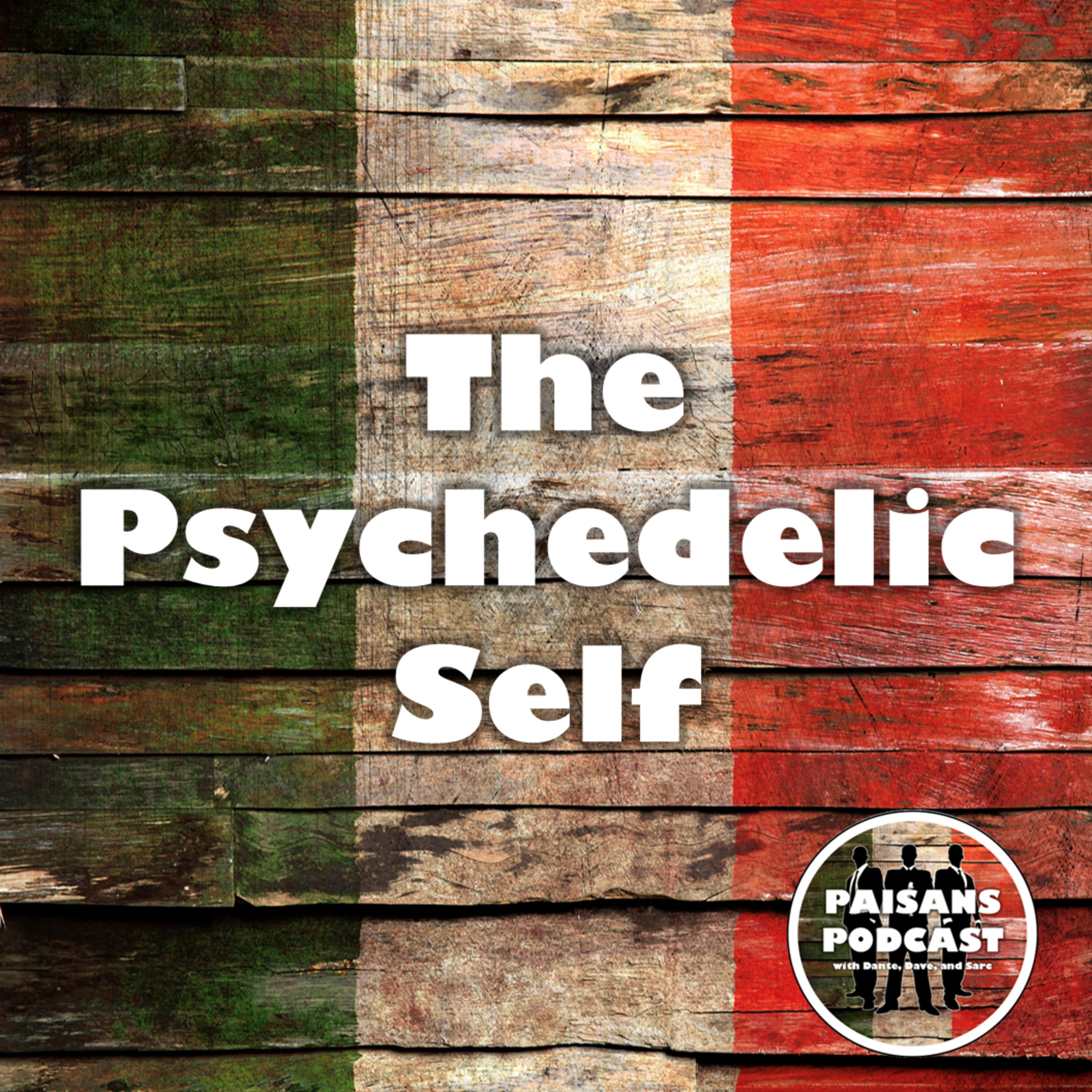 EP41: The Psychedelic Self episode artwork