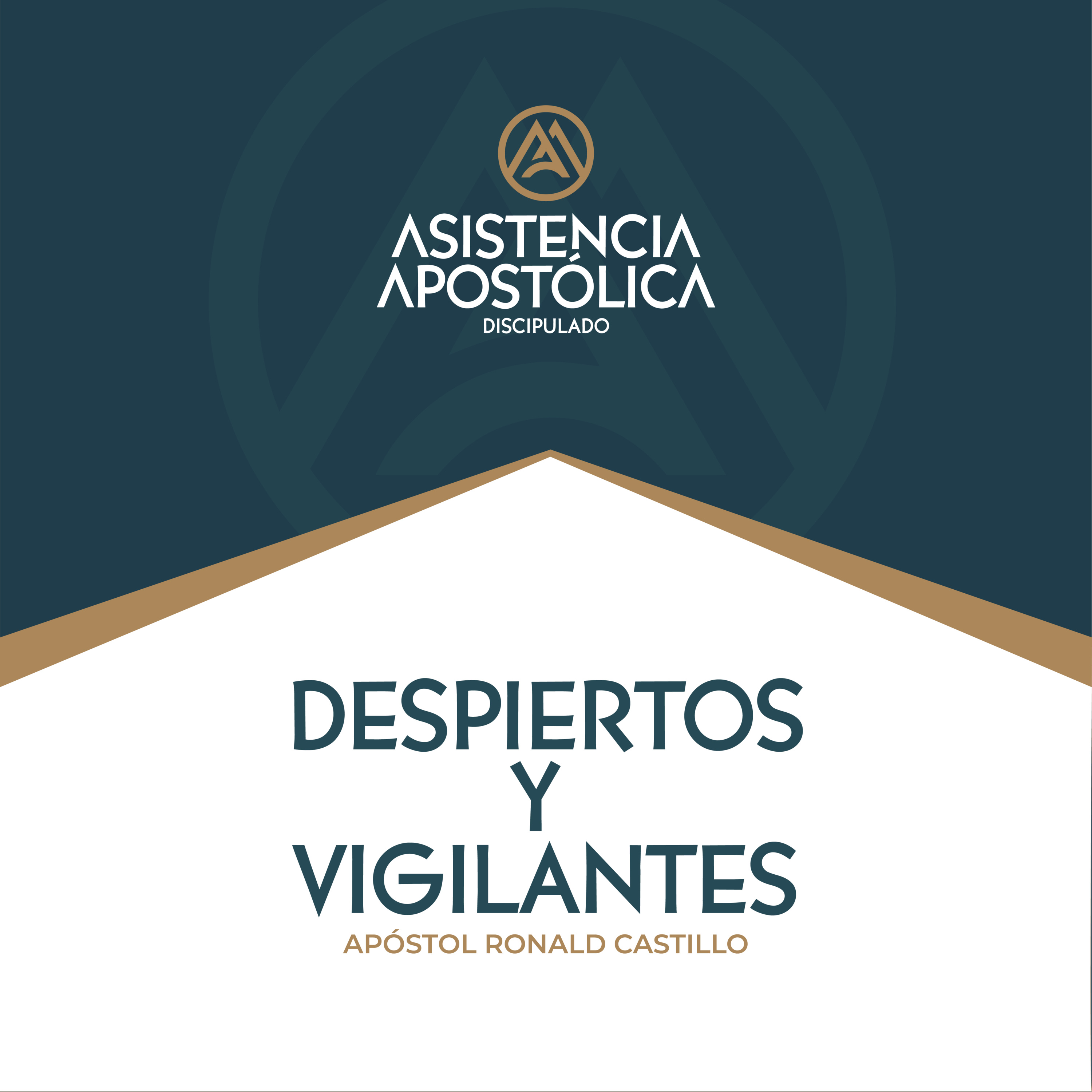 Discipulado Asistencia Apostólica - Sábado 15/junio/2024 episode artwork