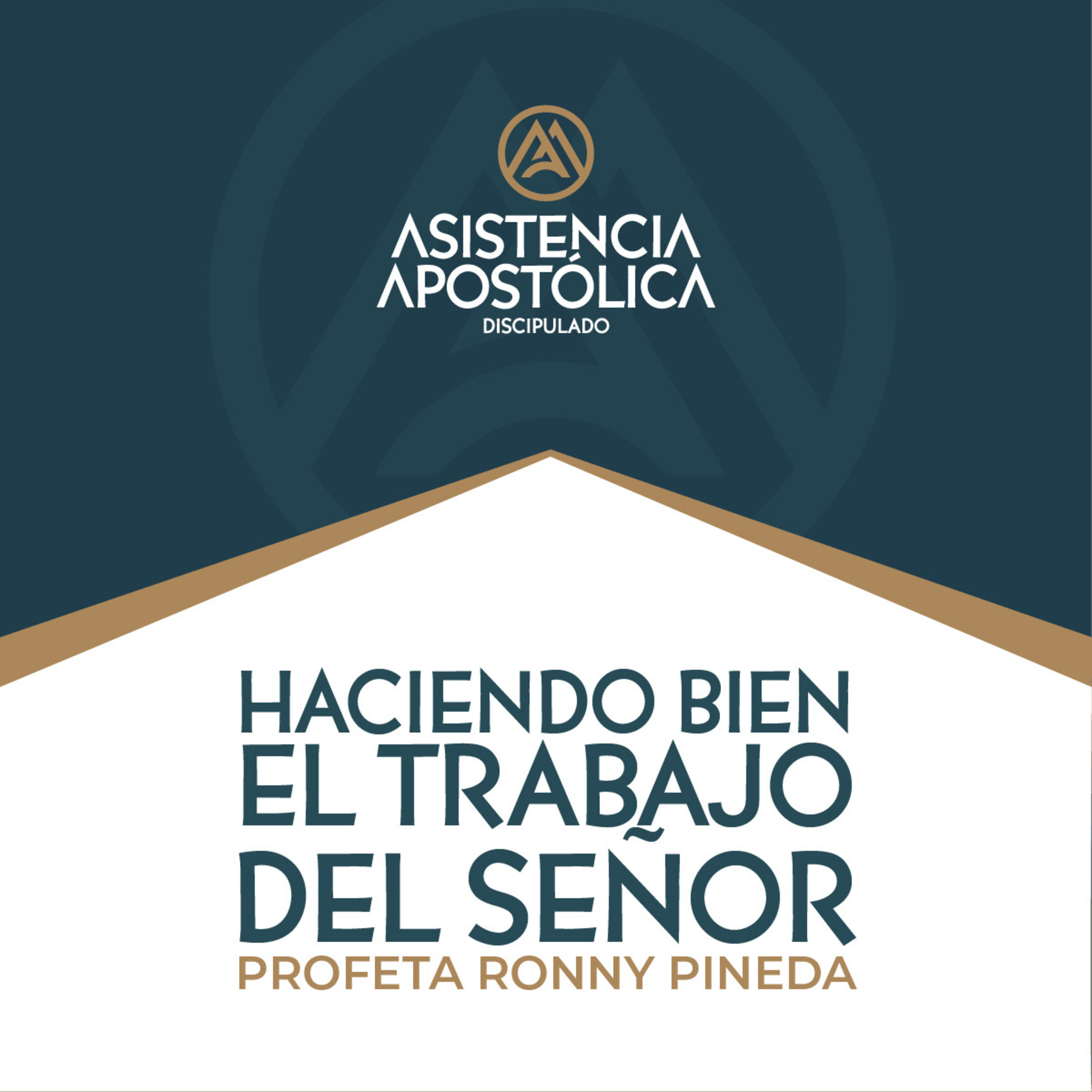 Discipulado Asistencia Apostólica - Sábado 15/febrero/2025 episode artwork