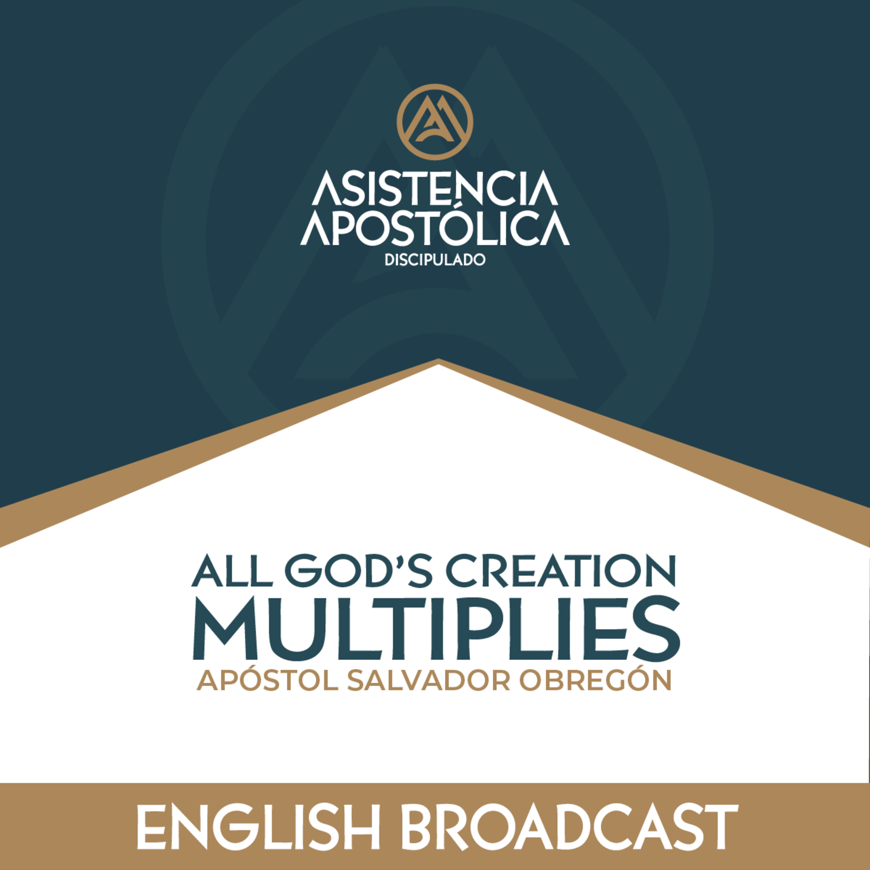 Apostolic Assistants’ Discipleship - Saturday, May 3rd, 2025 episode artwork