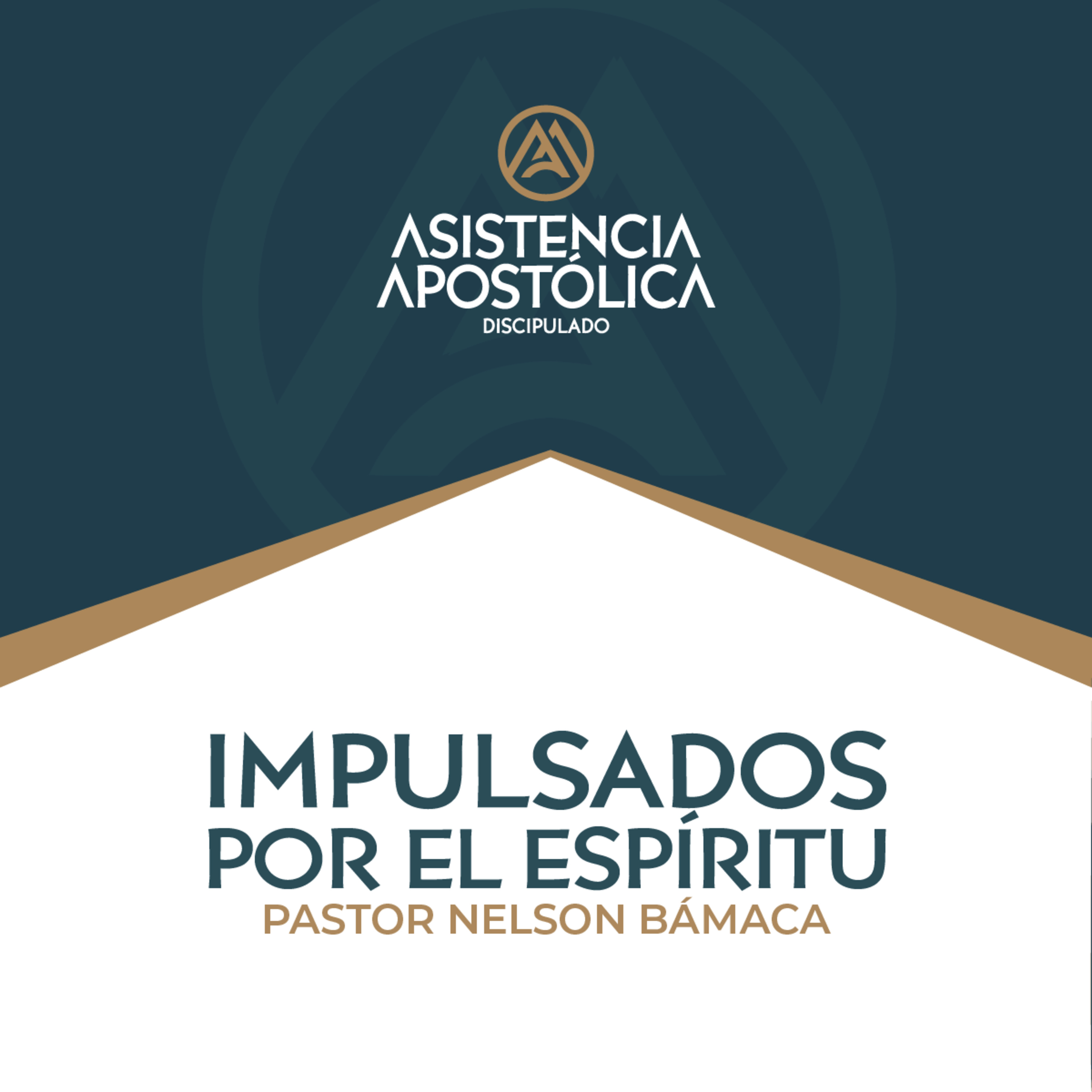 Discipulado Asistencia Apostólica - Sábado 17/mayo/2025 episode artwork