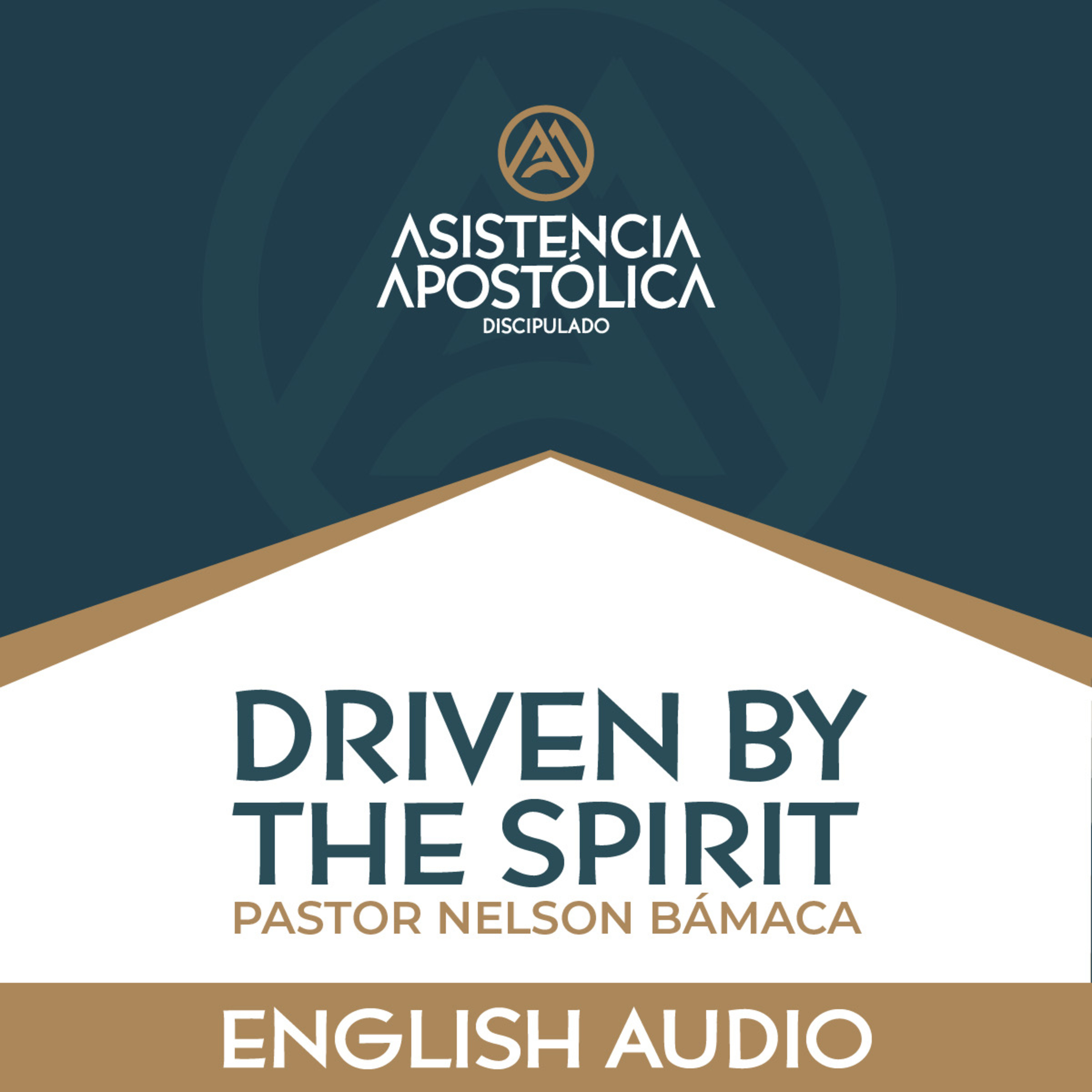 Apostolic Assistants’ Discipleship - Saturday, May 17th, 2025 episode artwork
