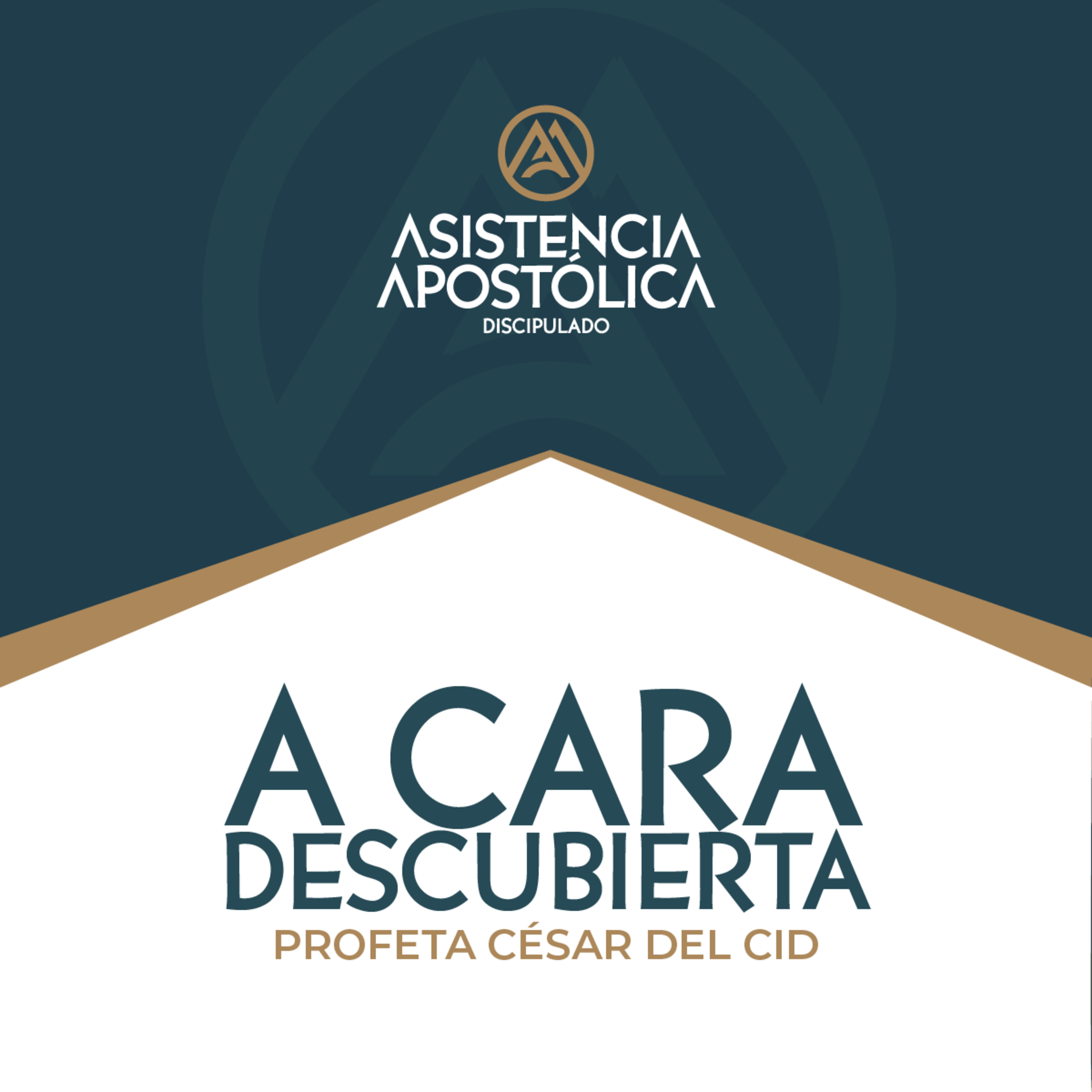 Discipulado Asistencia Apostólica - Sábado 7/junio/2025 episode artwork