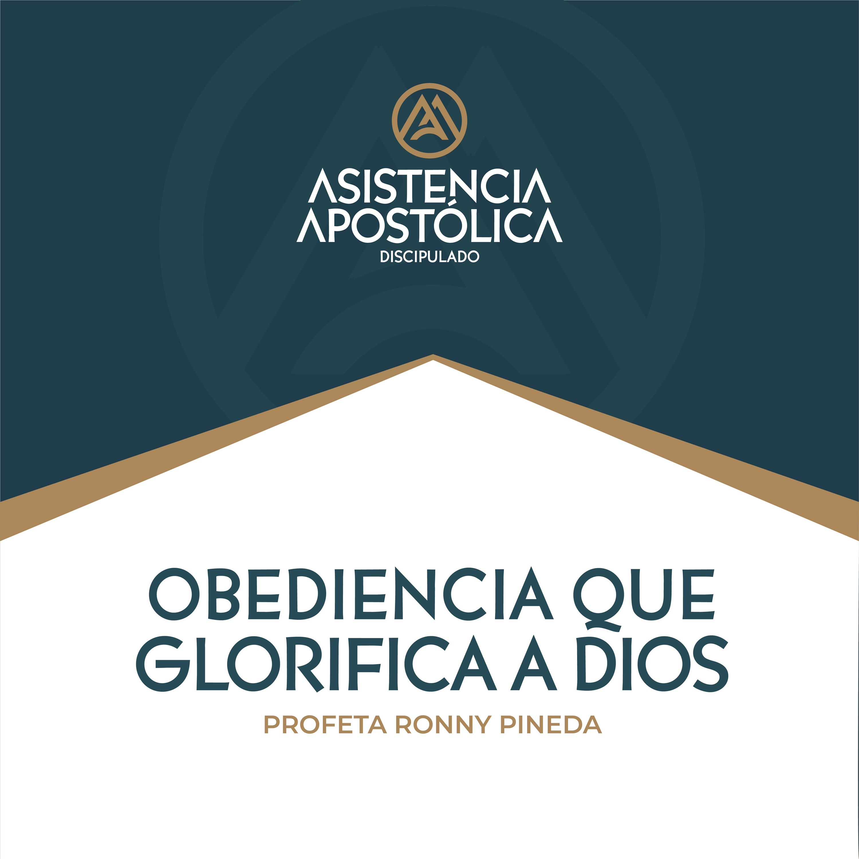 Discipulado Asistencia Apostólica - Sábado 15/noviembre/2025 episode artwork