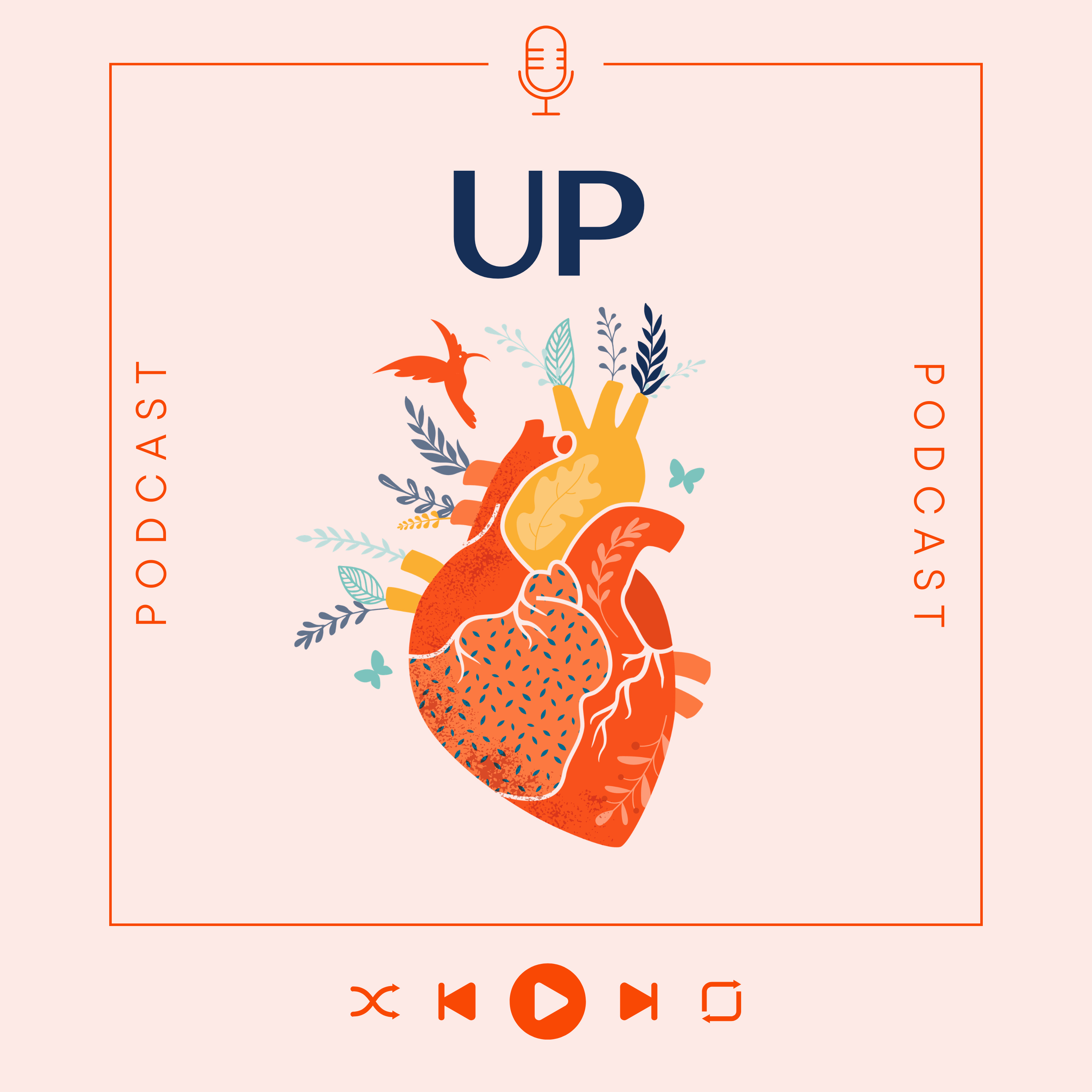 Episodio 311: Up episode artwork