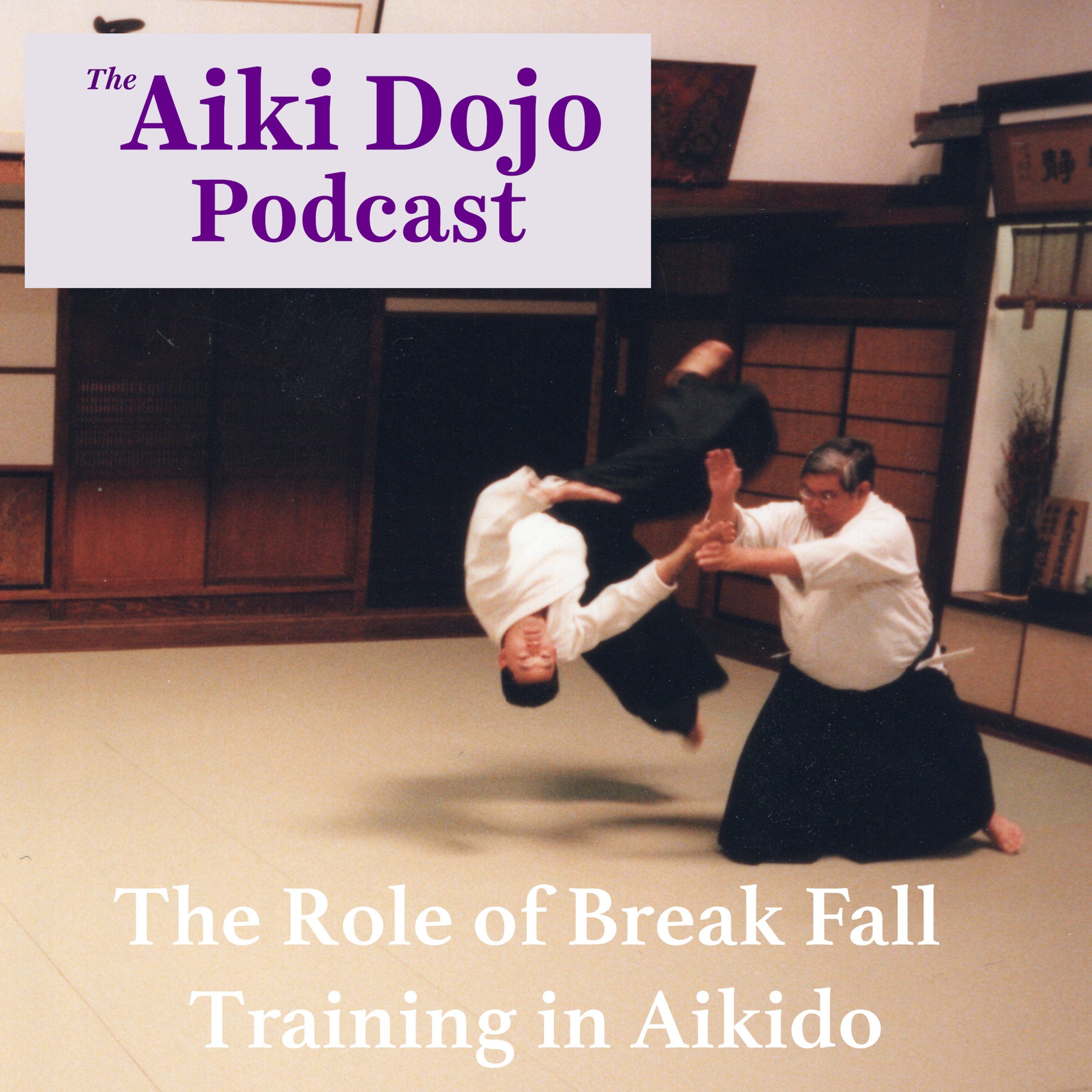 The Aiki Dojo Podcast