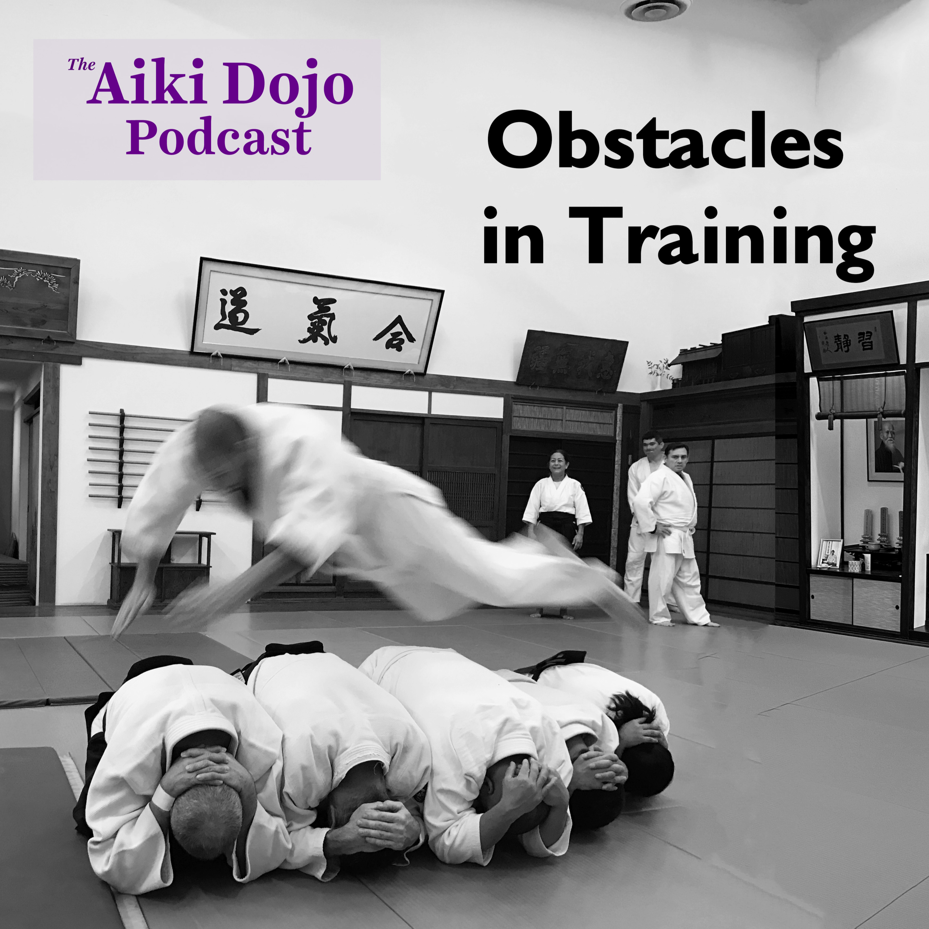 The Aiki Dojo Podcast