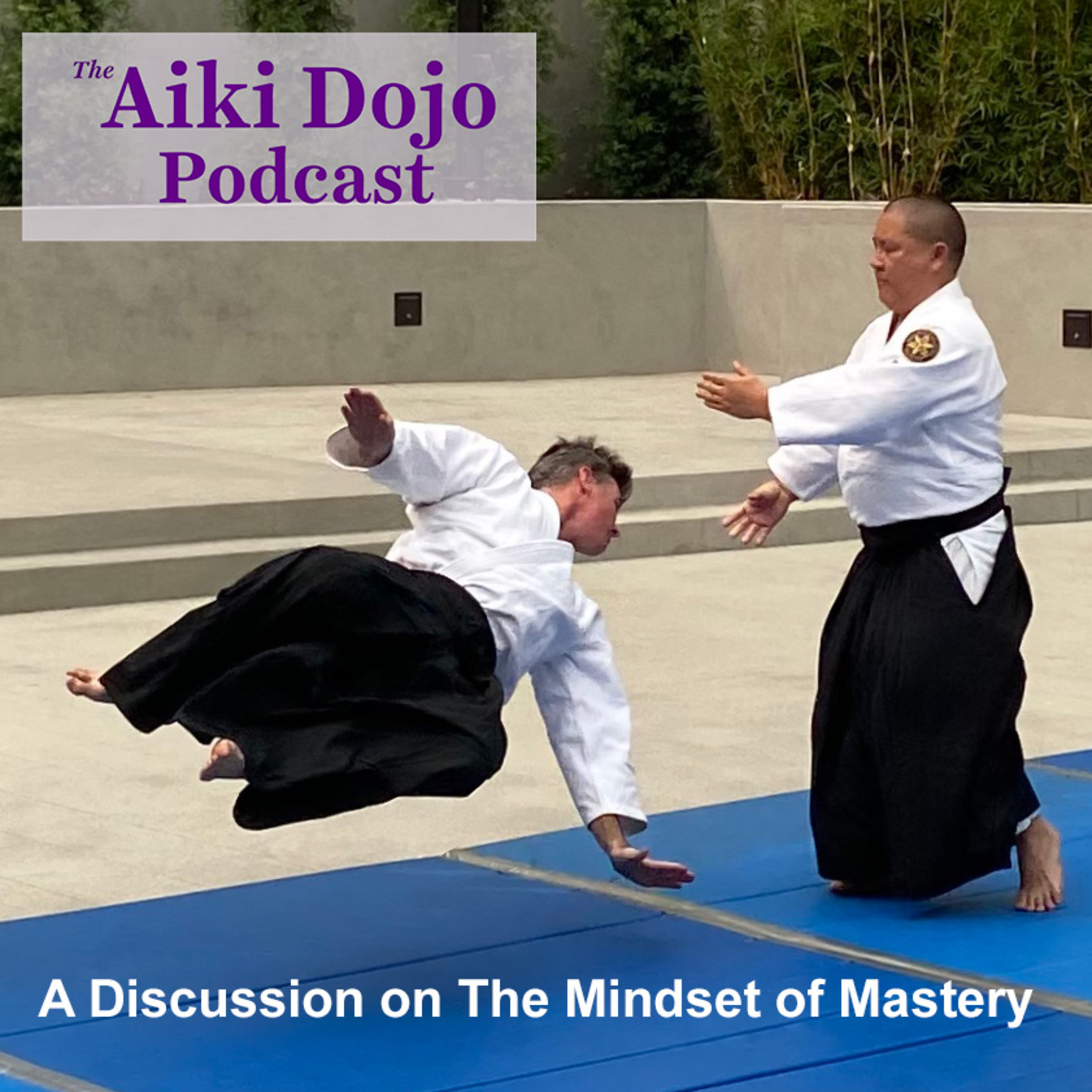 The Aiki Dojo Podcast