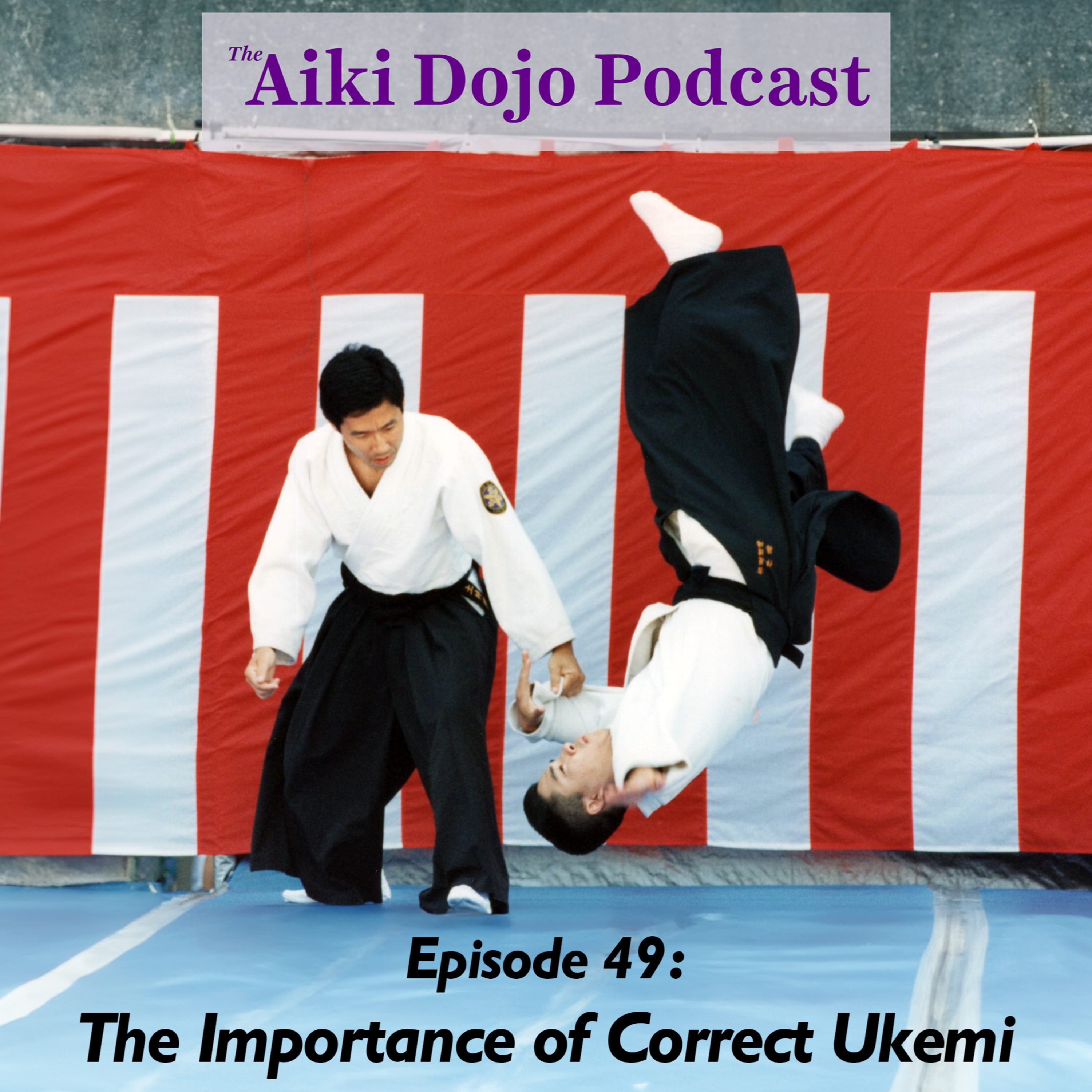 The Aiki Dojo Podcast