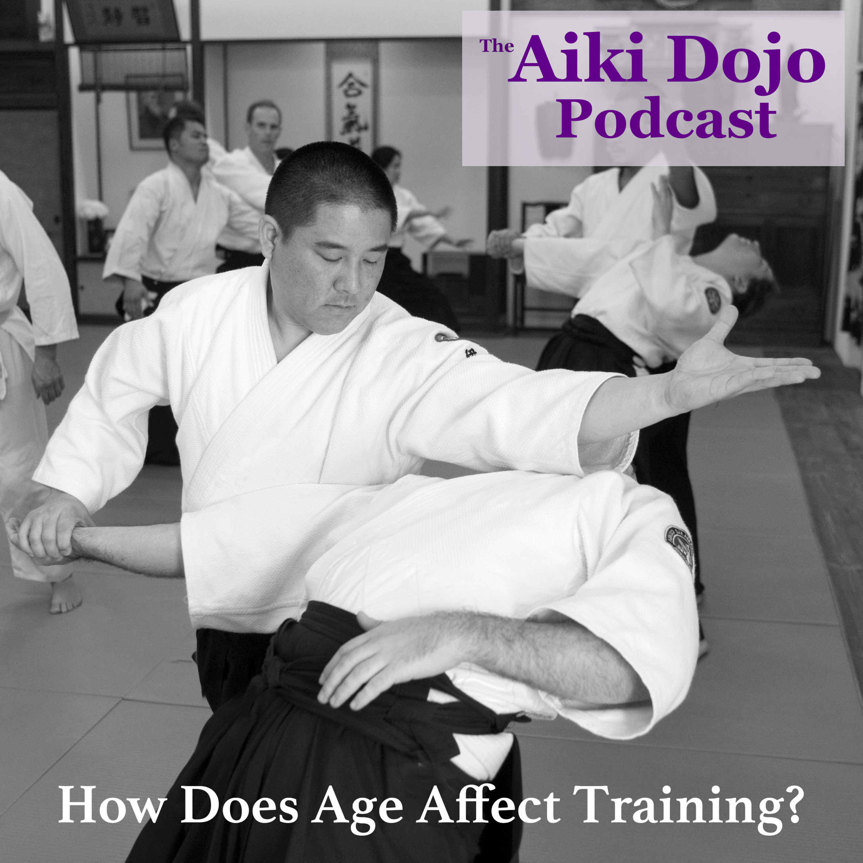 The Aiki Dojo Podcast