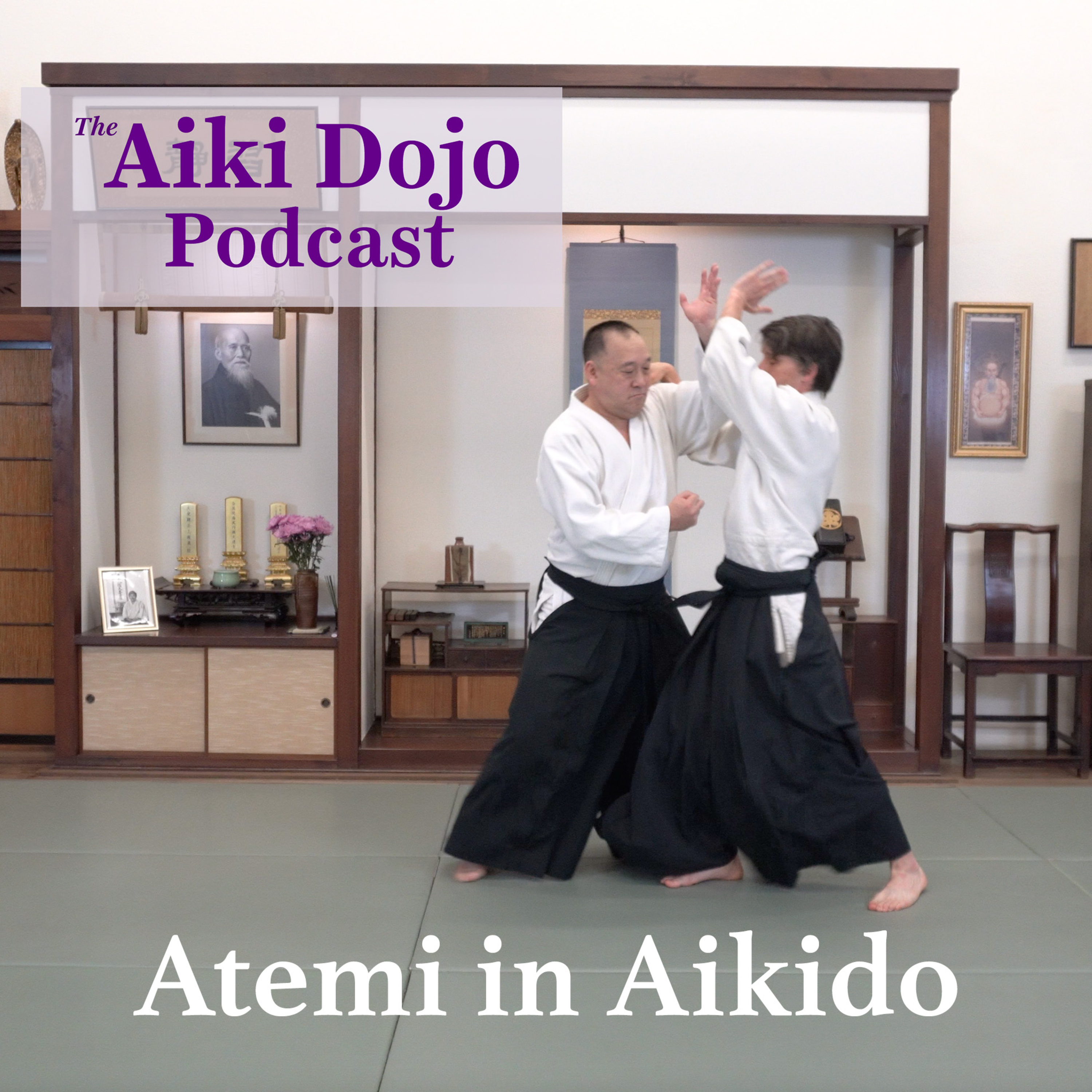 The Aiki Dojo Podcast