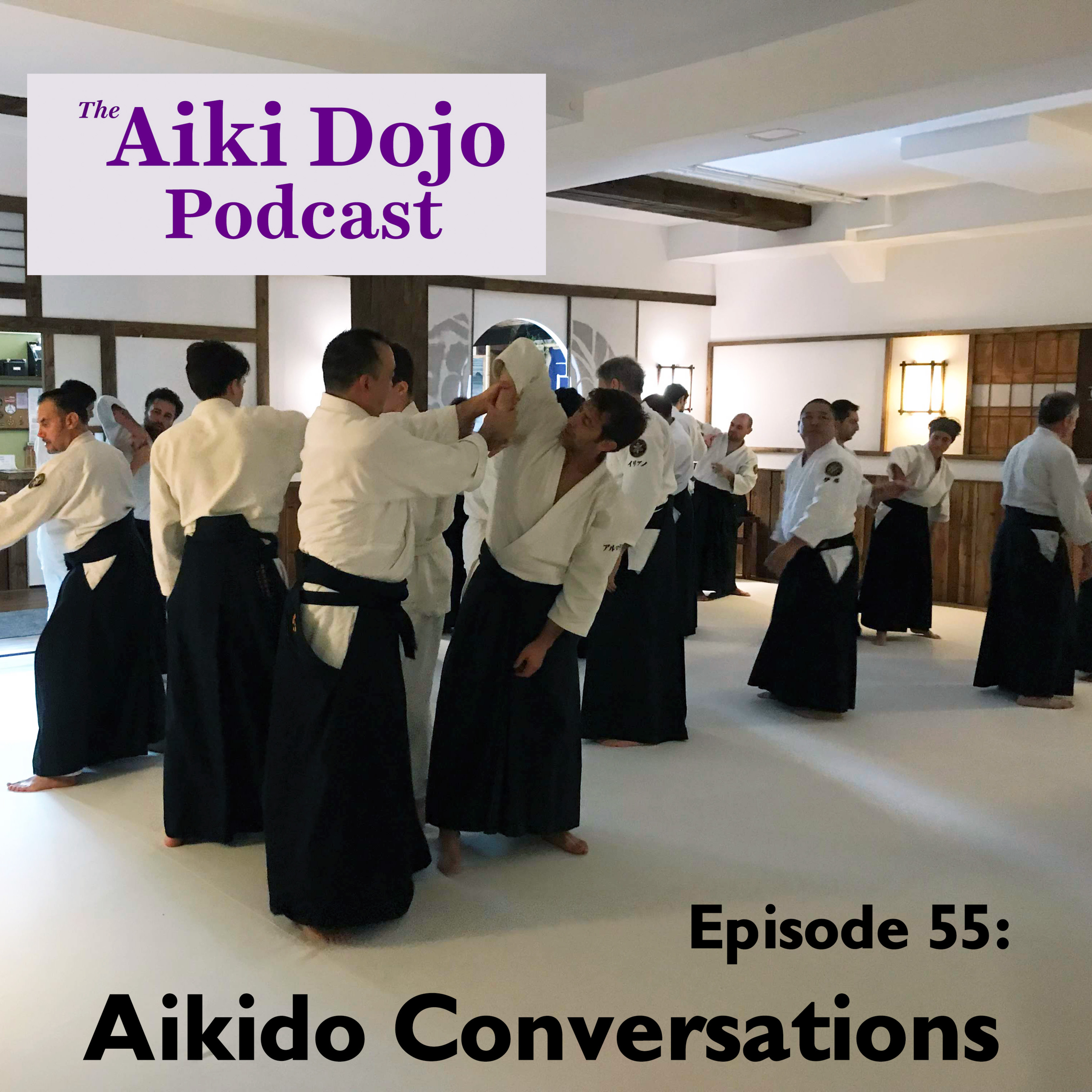 The Aiki Dojo Podcast