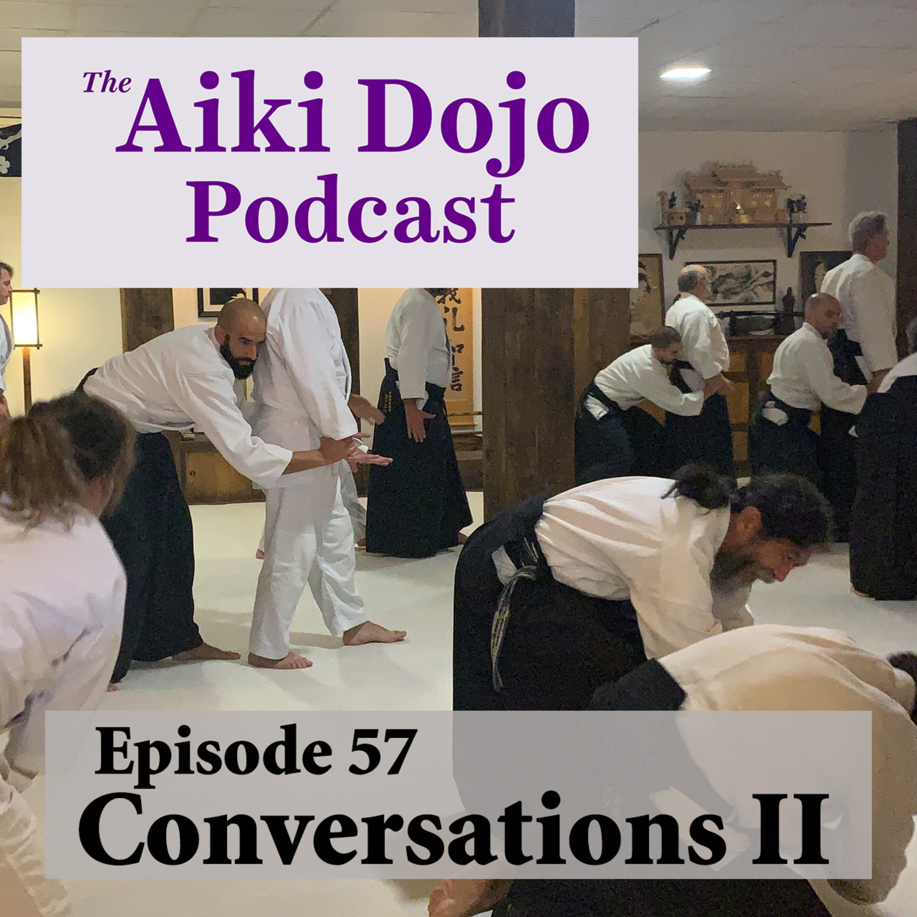 The Aiki Dojo Podcast