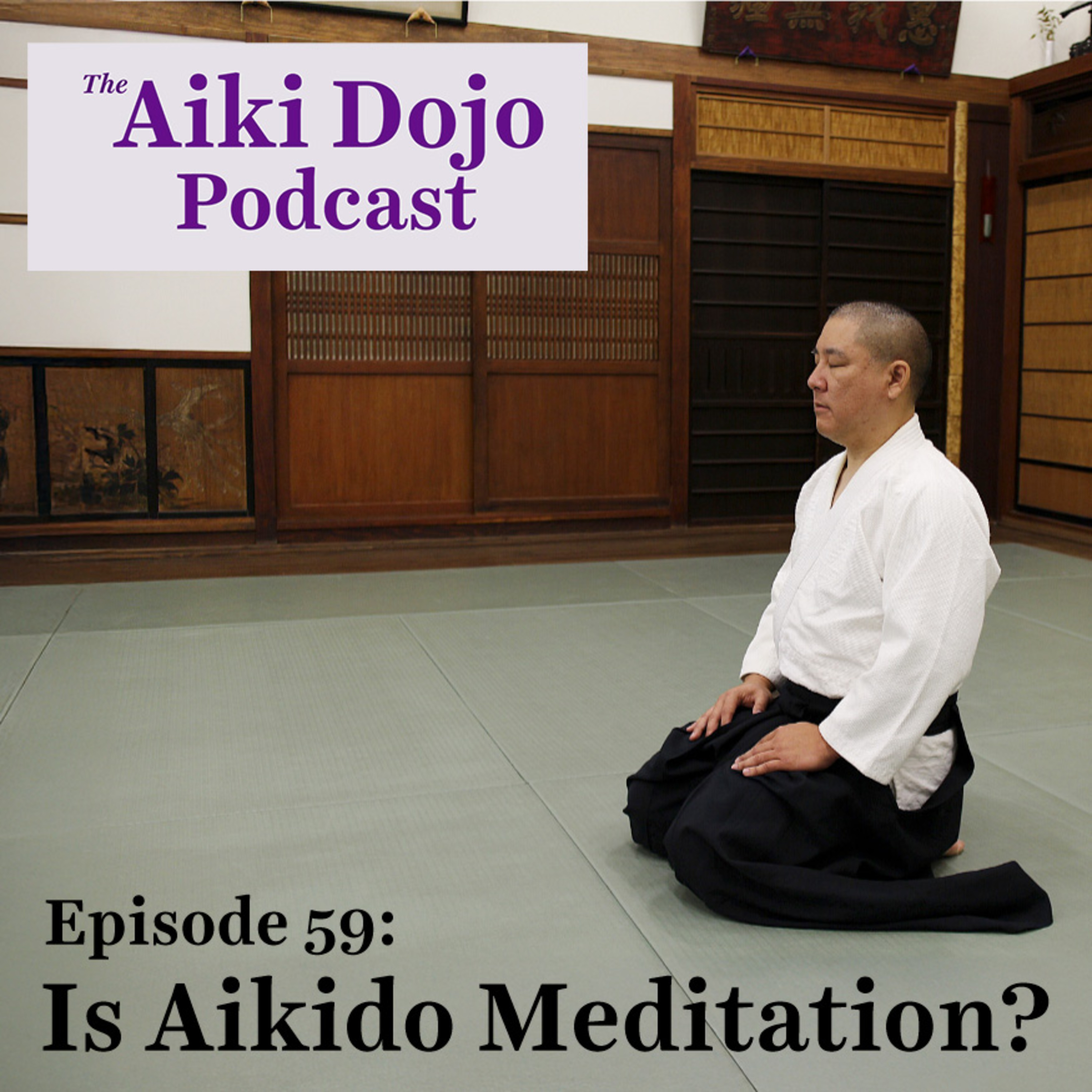 The Aiki Dojo Podcast