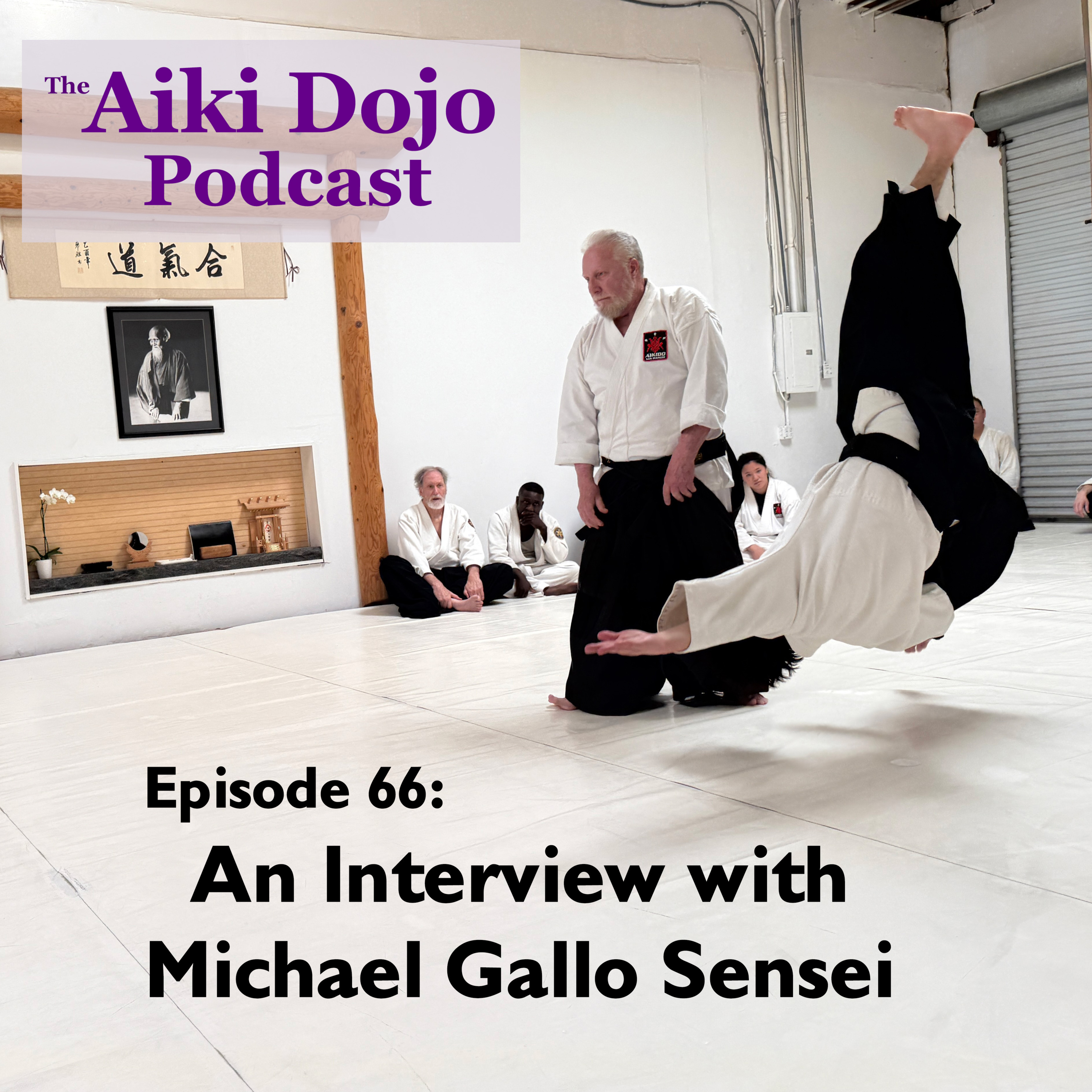 The Aiki Dojo Podcast